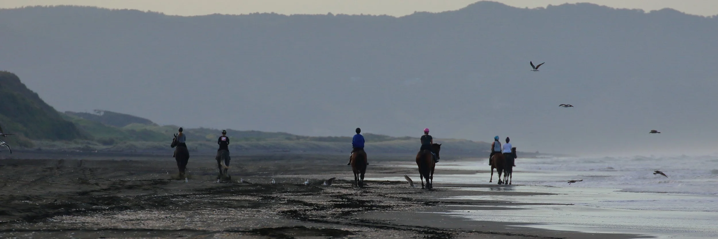 Karioitahi Beach,-298.JPG
