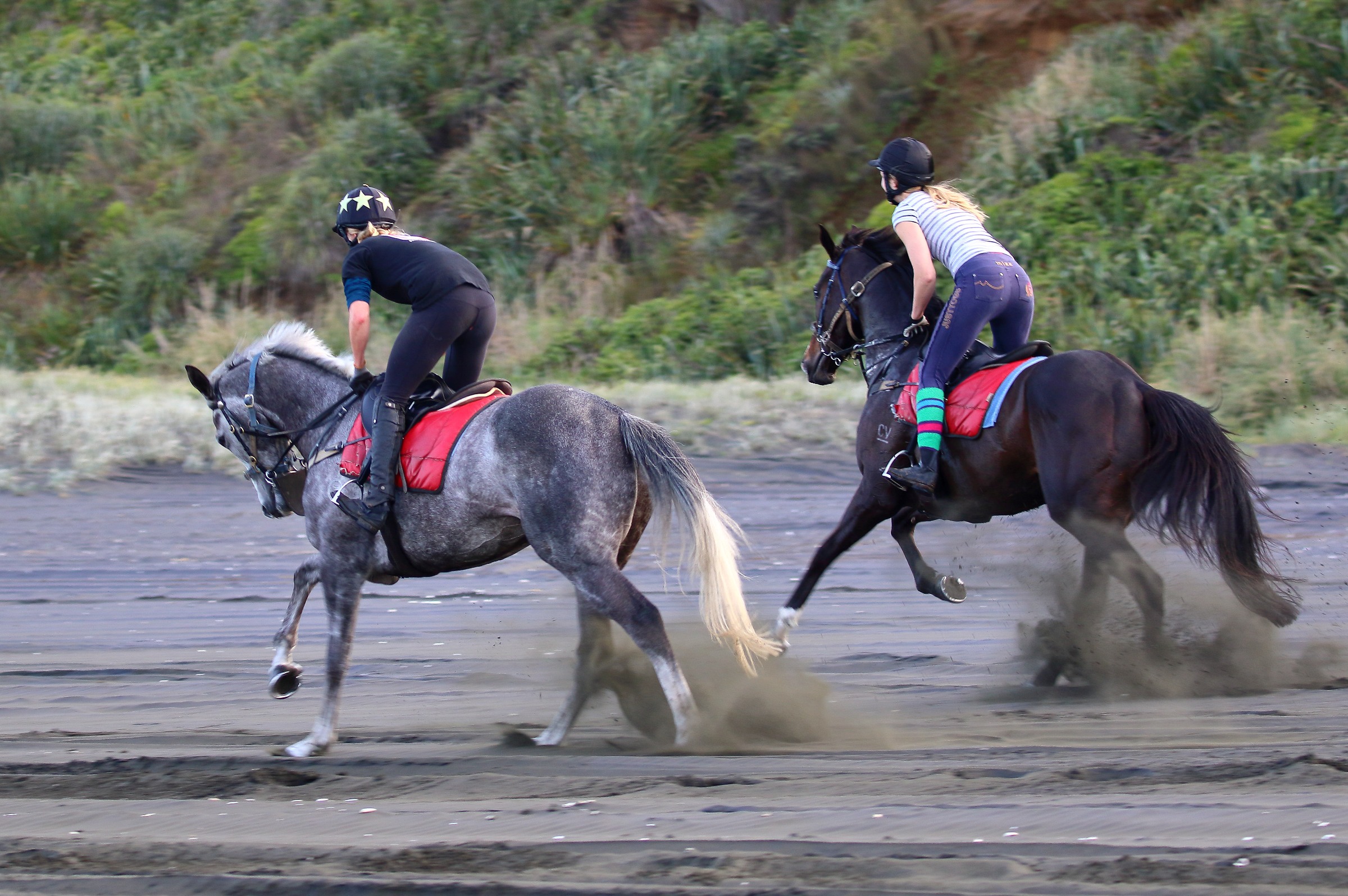 Karioitahi Beach,-300.JPG