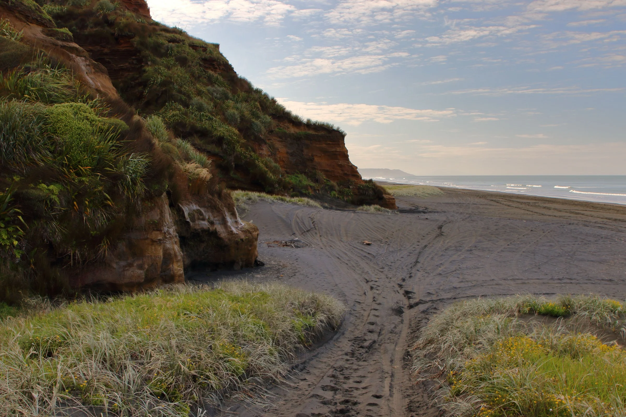 Karioitahi Beach,-316.JPG