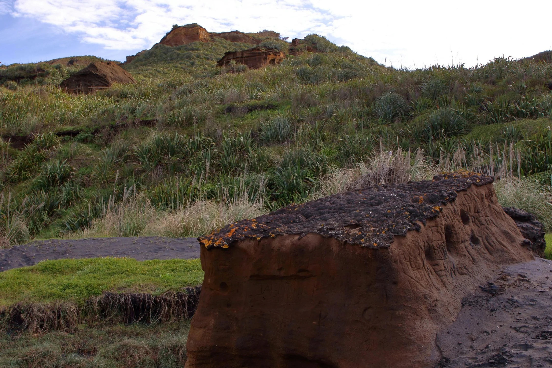 Karioitahi Beach,-318.JPG