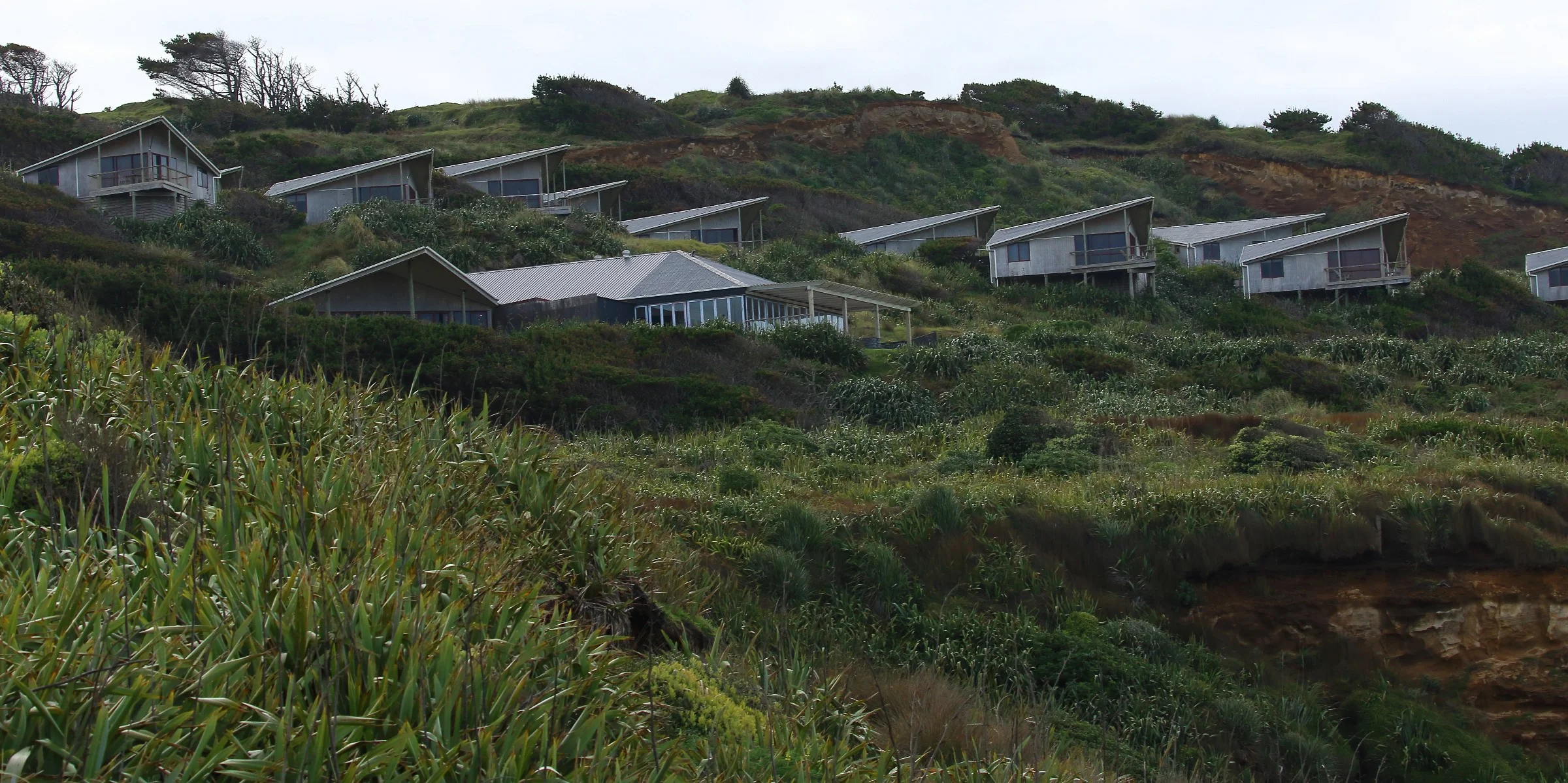 Karioitahi Beach,-360.JPG