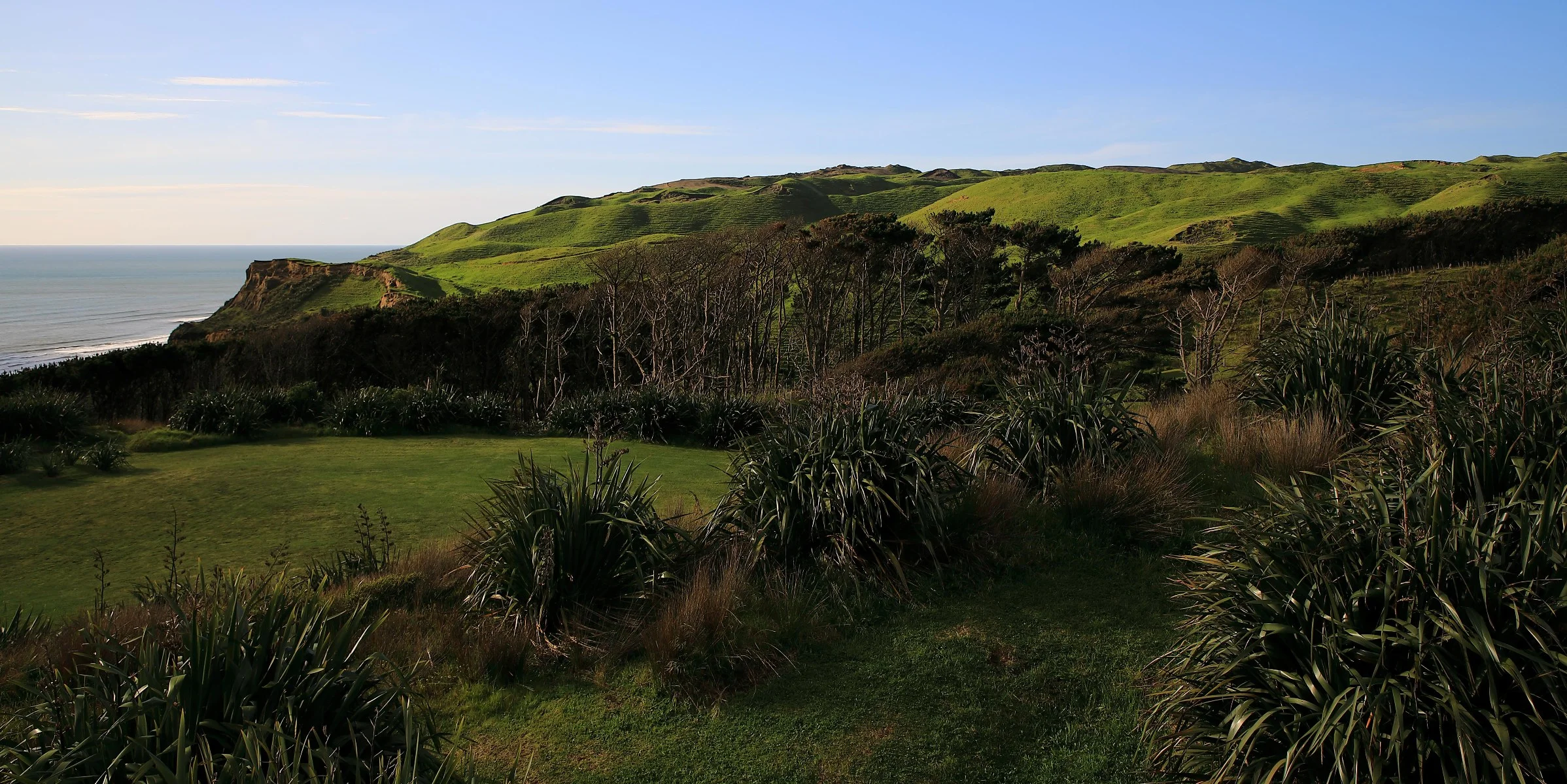 Karioitahi Beach,-753.JPG