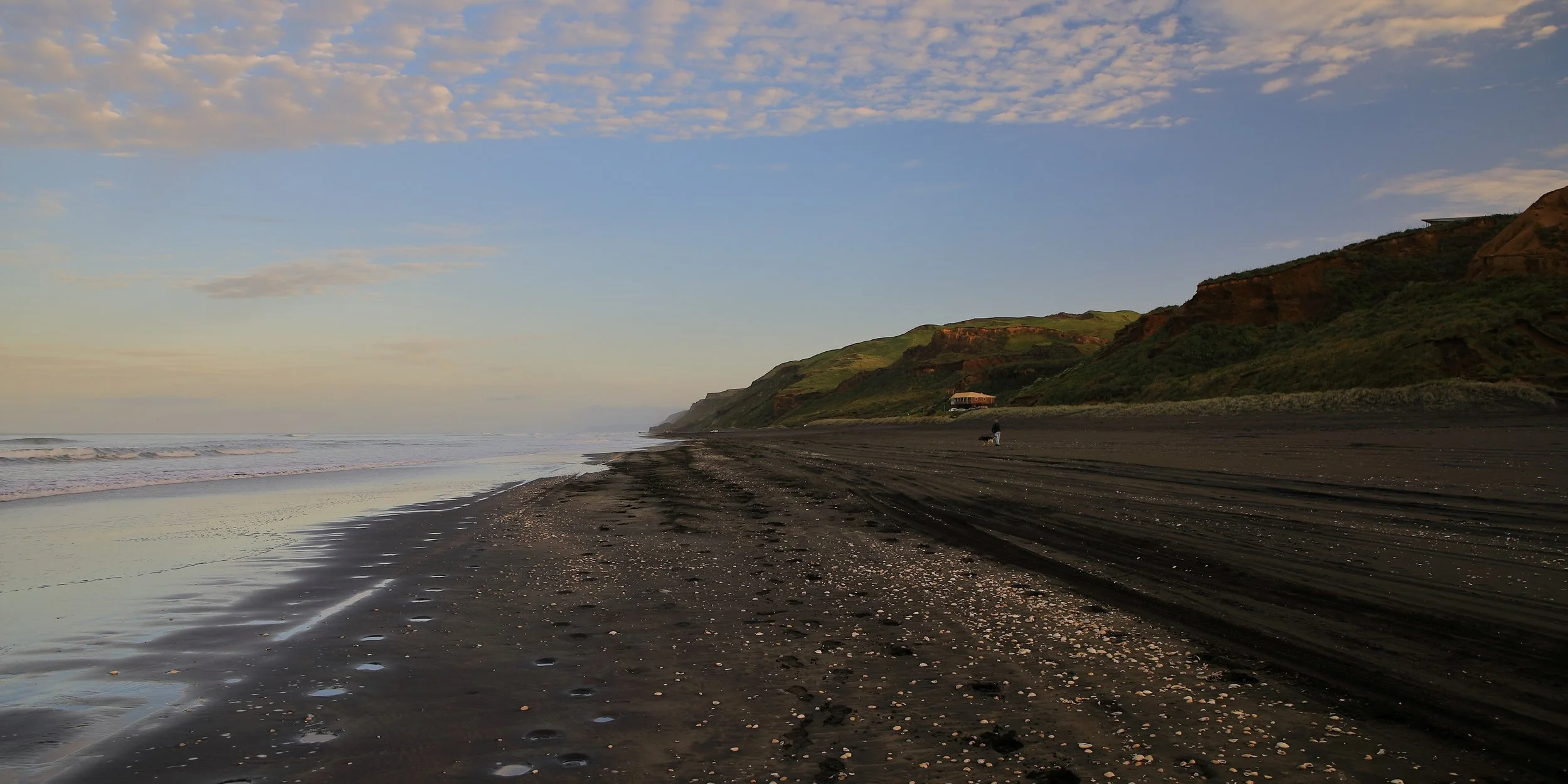 Karioitahi Beach,-765.JPG