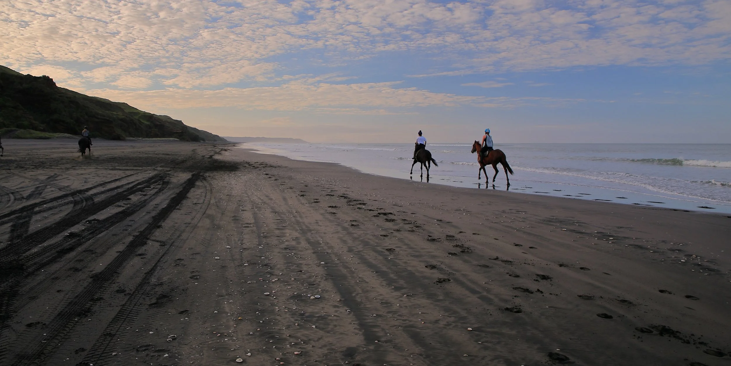 Karioitahi Beach,-772.JPG