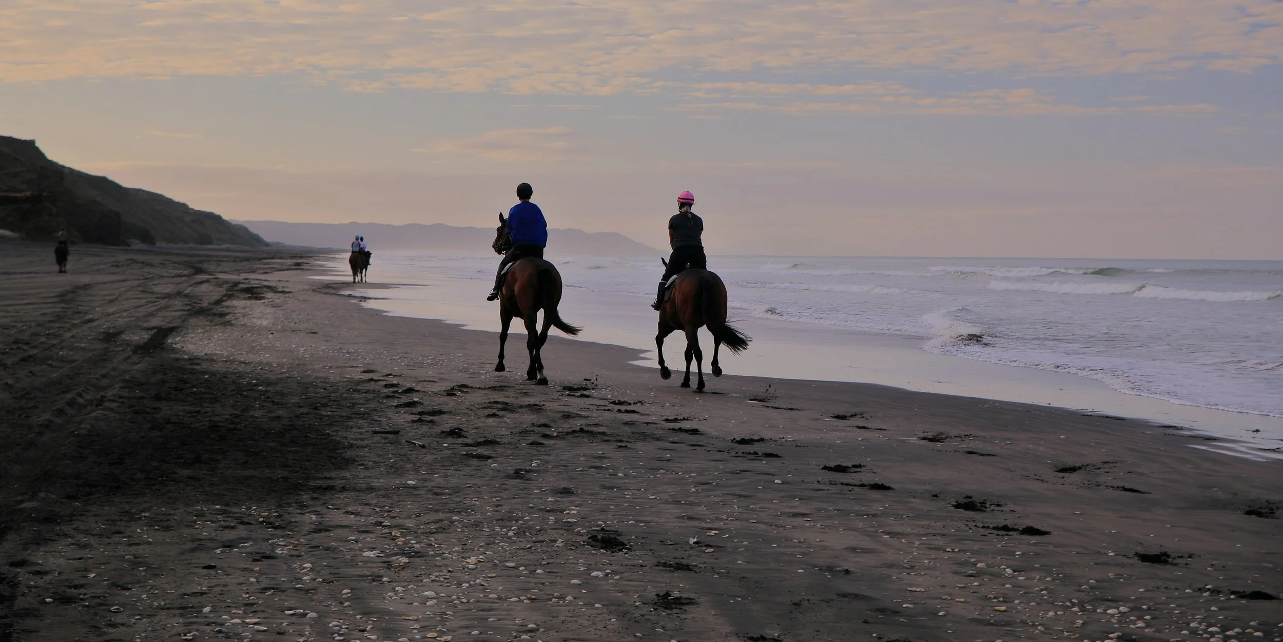 Karioitahi Beach,-773.JPG