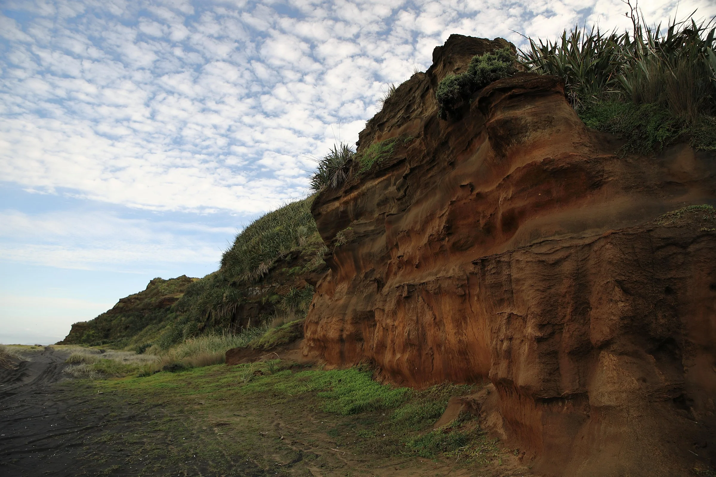 Karioitahi Beach,-780.JPG