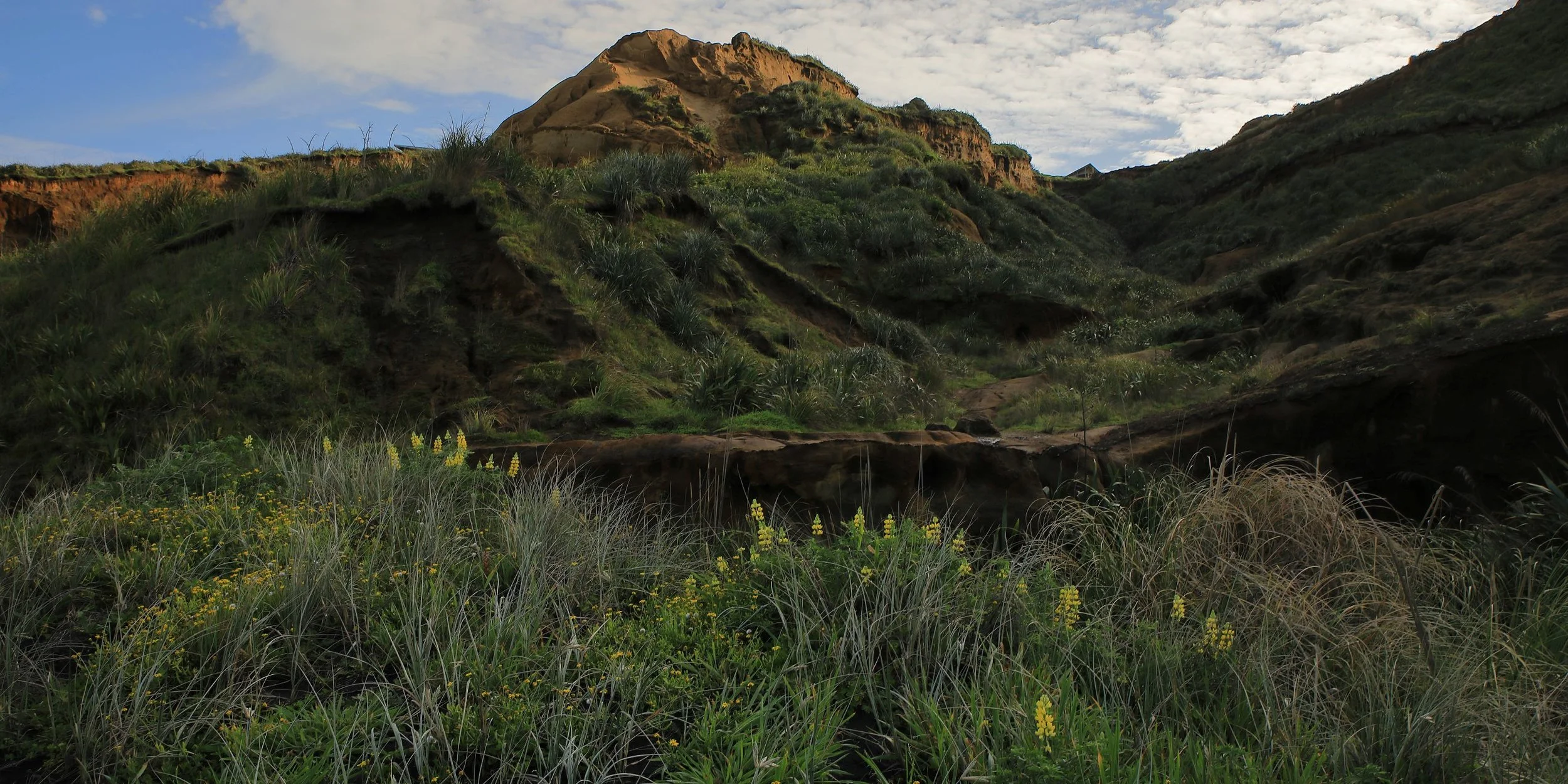 Karioitahi Beach,-803.JPG