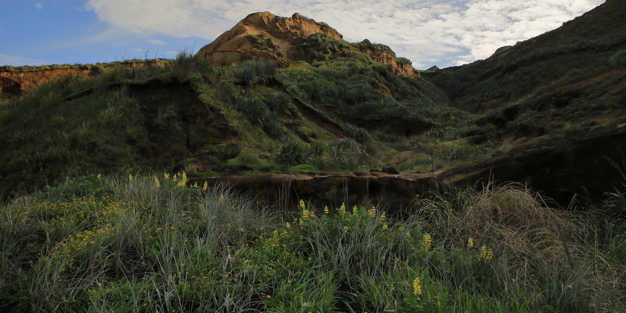 Karioitahi Beach,-803.JPG