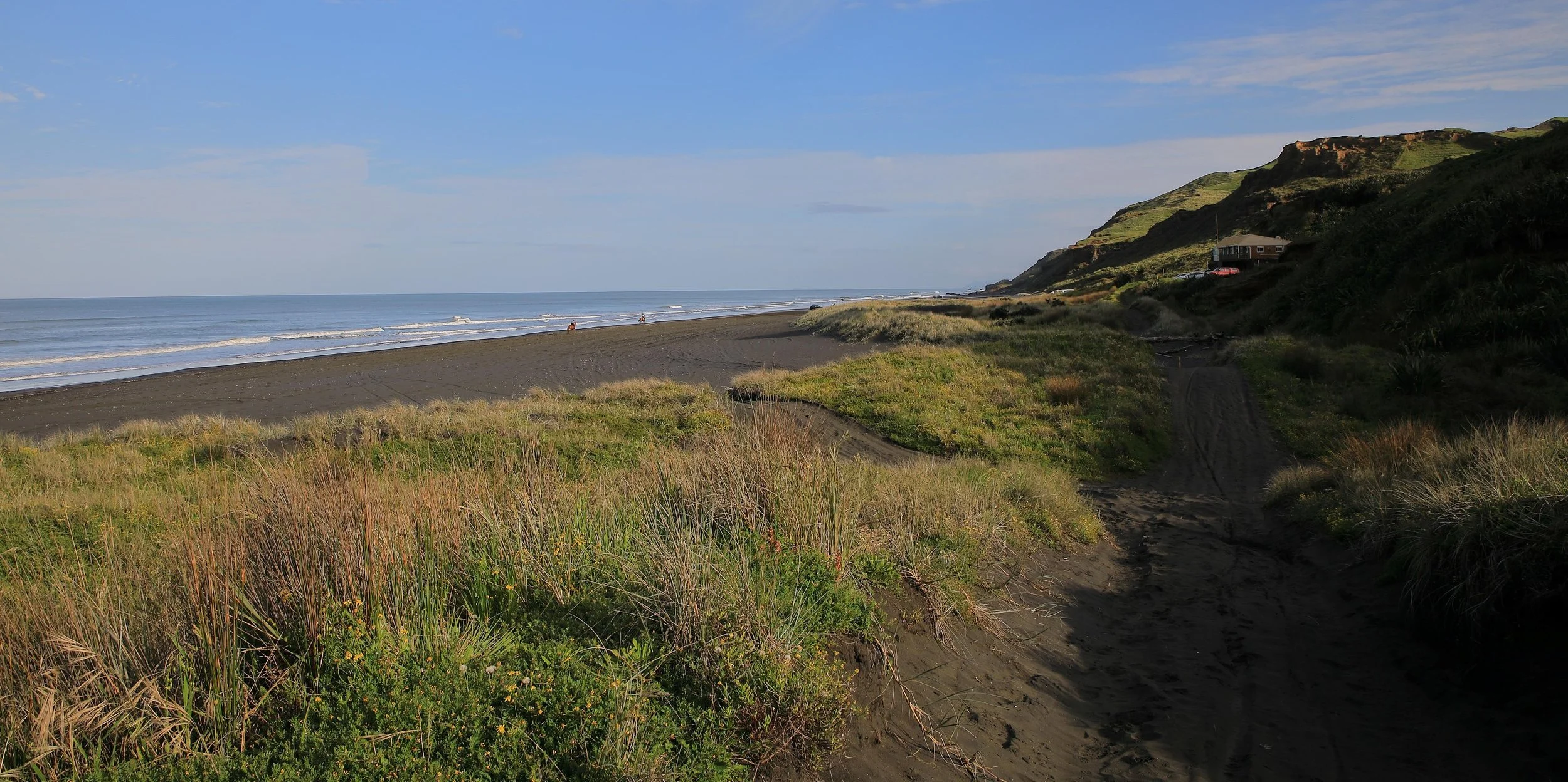 Karioitahi Beach,-805.JPG