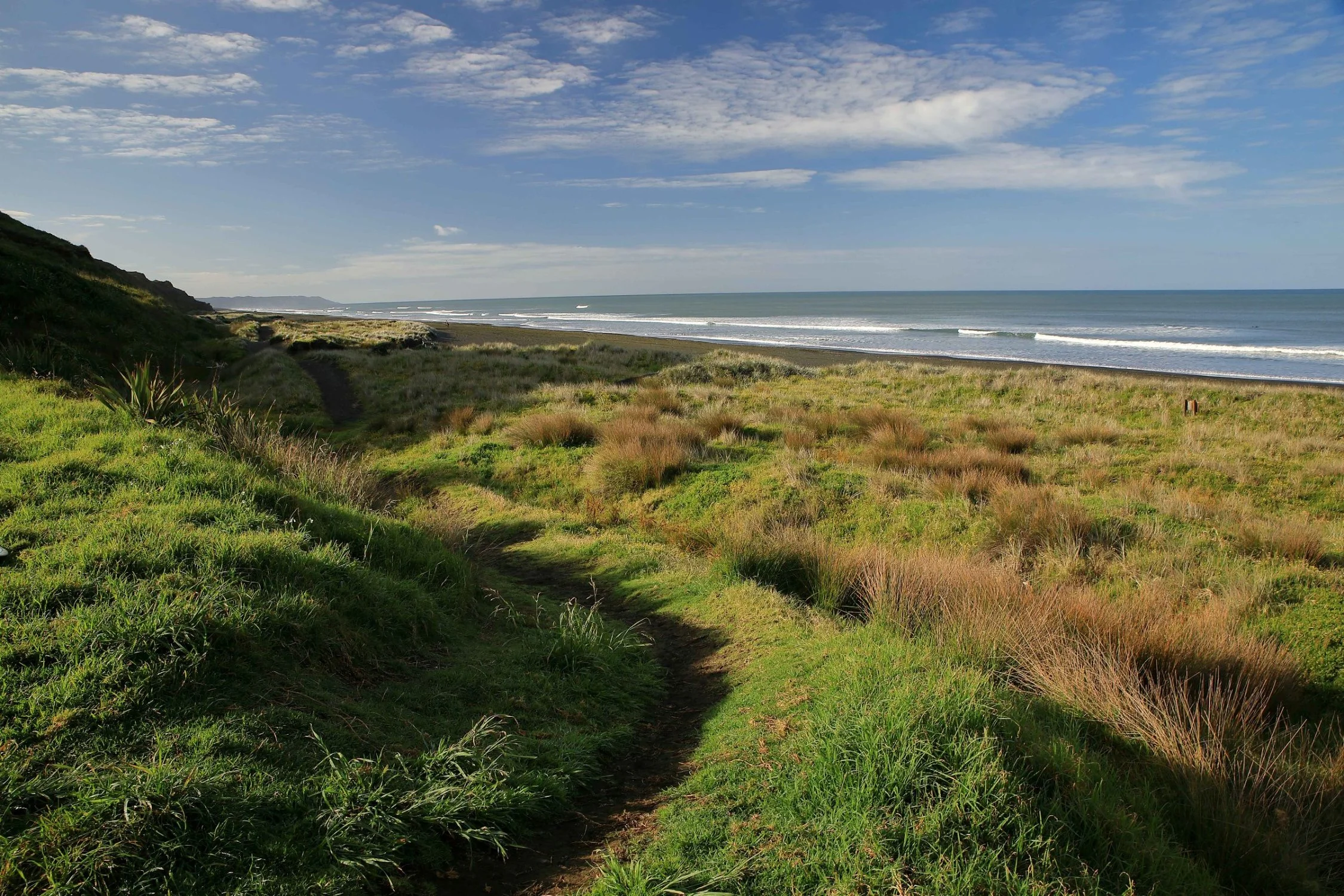 Karioitahi Beach,-807.JPG