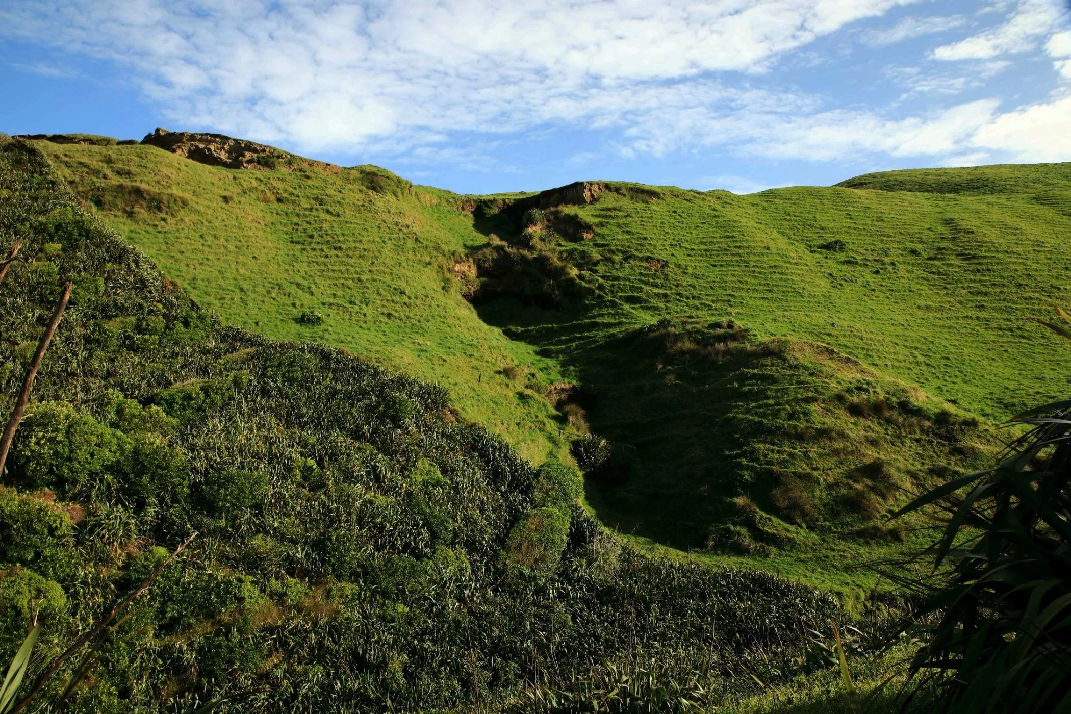 Karioitahi Beach,-813.JPG