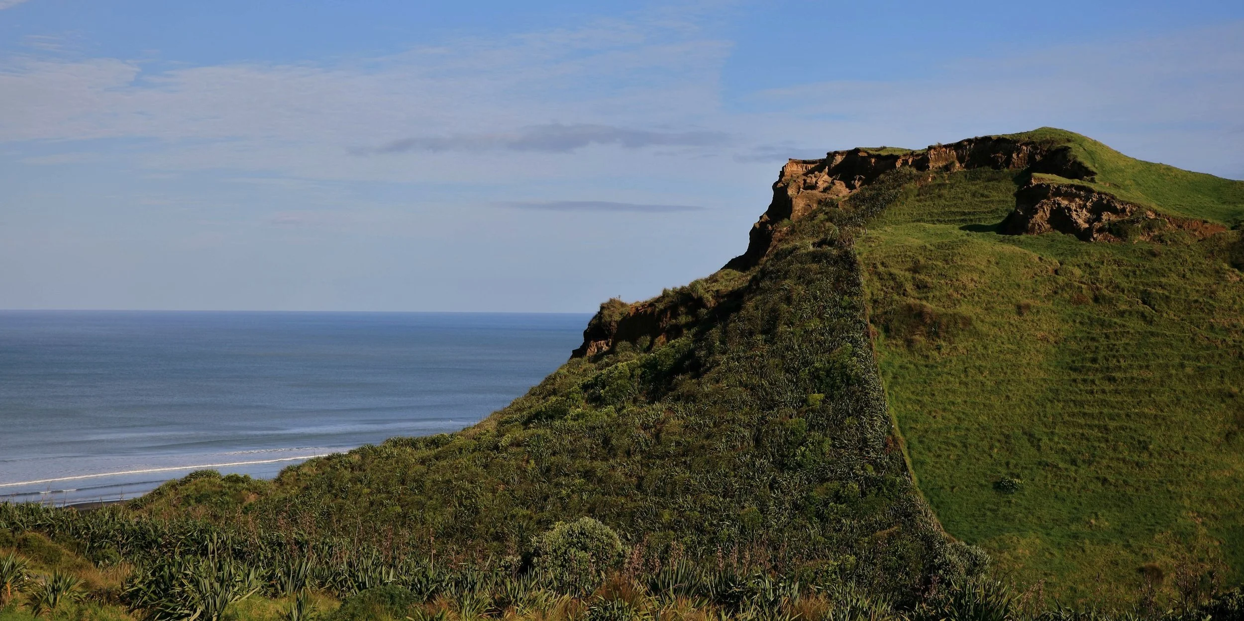 Karioitahi Beach,-815.JPG