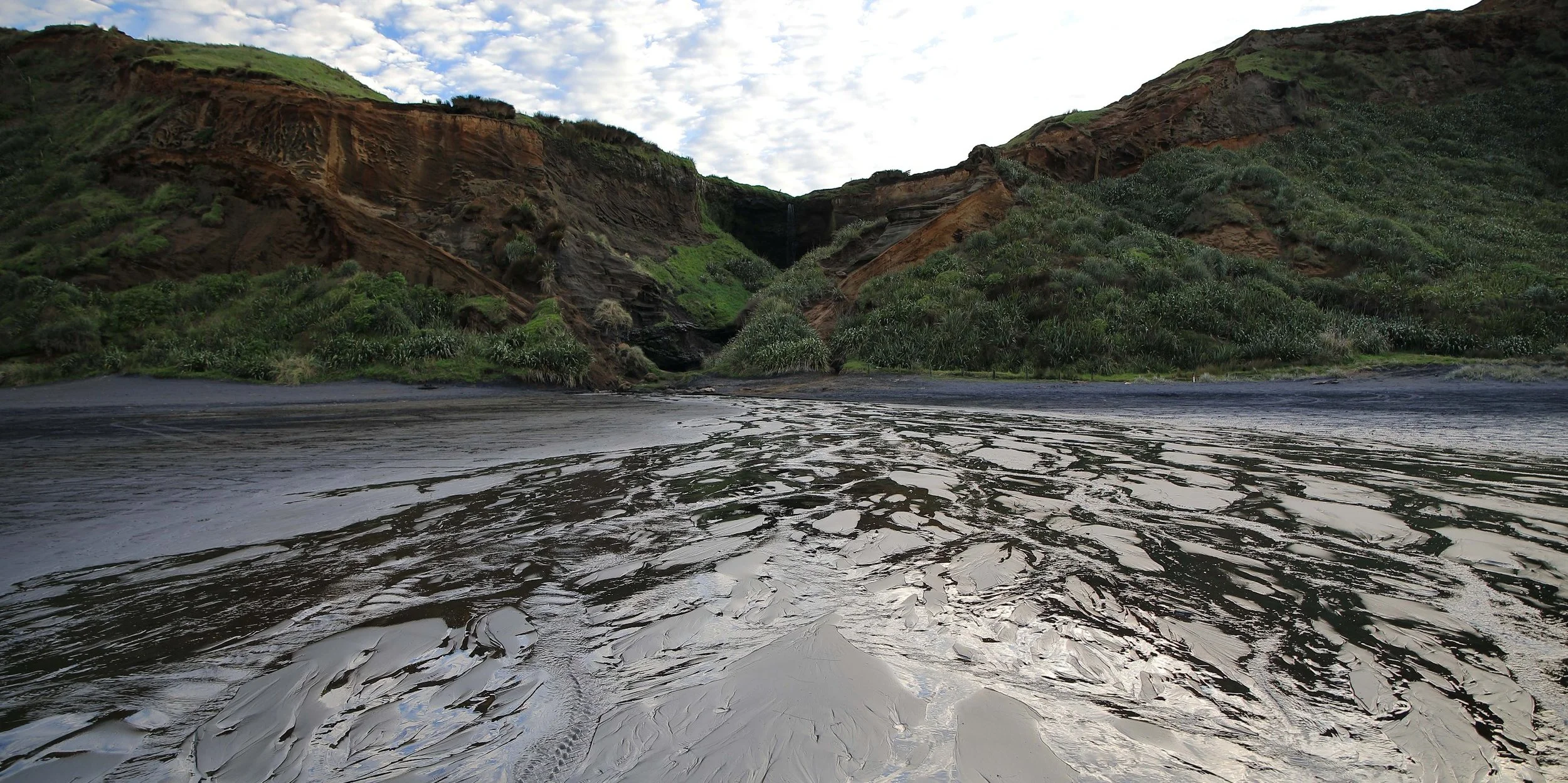Karioitahi Beach,-878.JPG