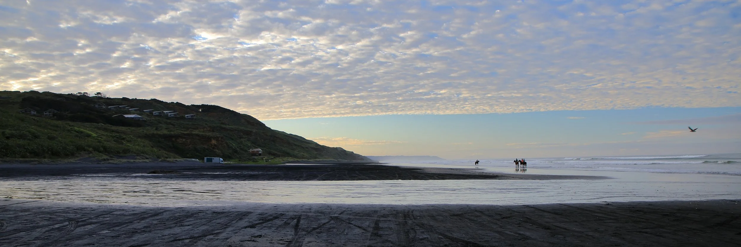 Karioitahi Beach,-879.JPG