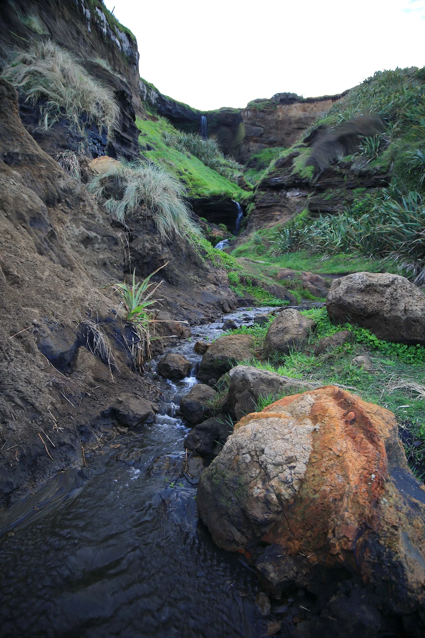 Karioitahi Beach,-882.JPG