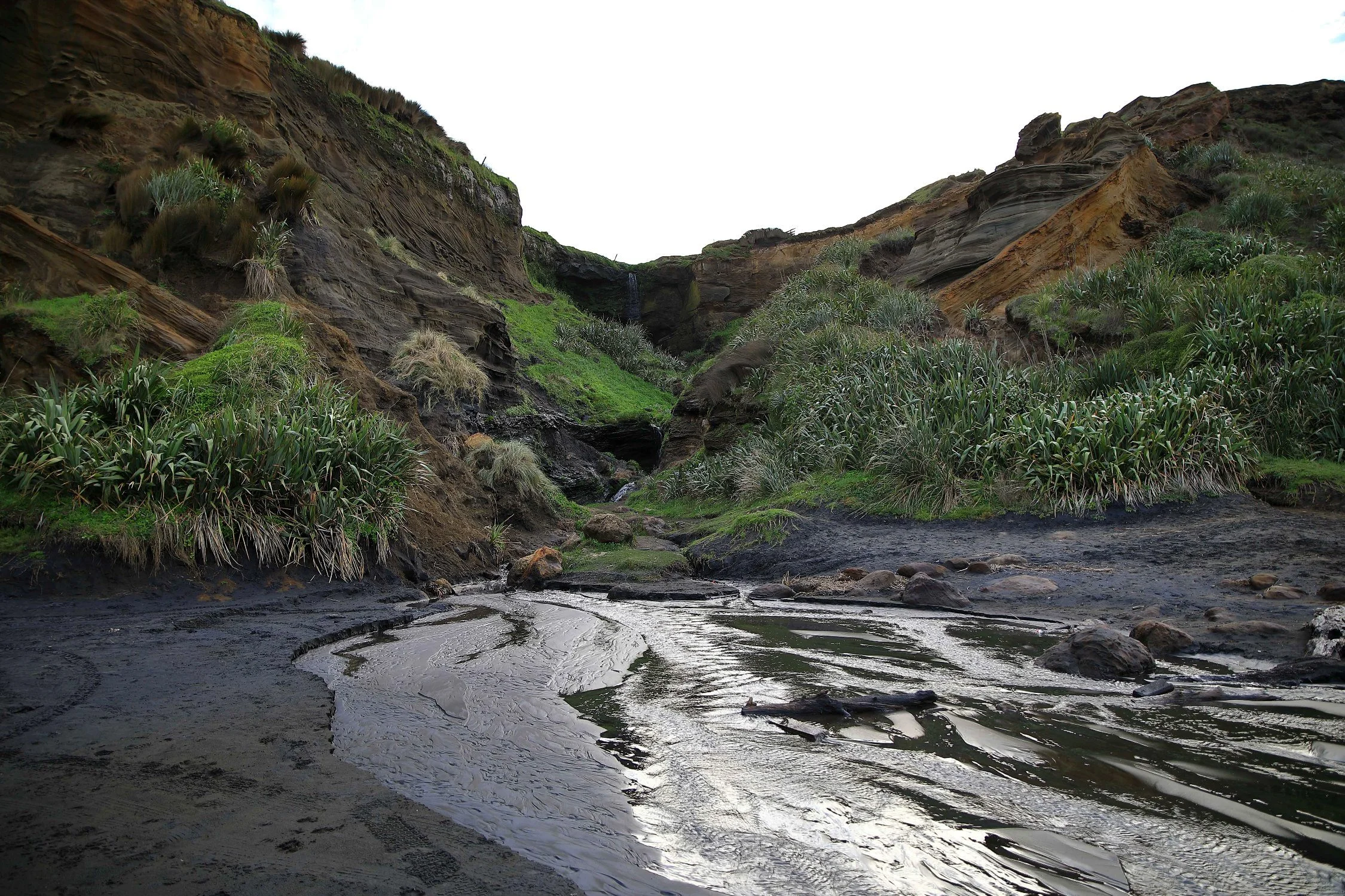 Karioitahi Beach,-880.JPG