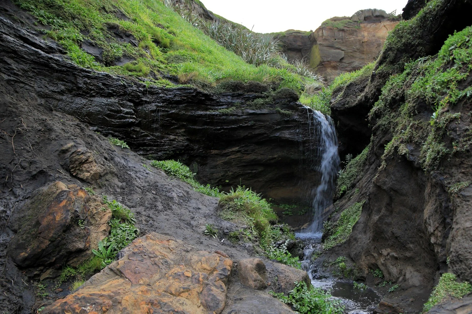 Karioitahi Beach,-887.JPG