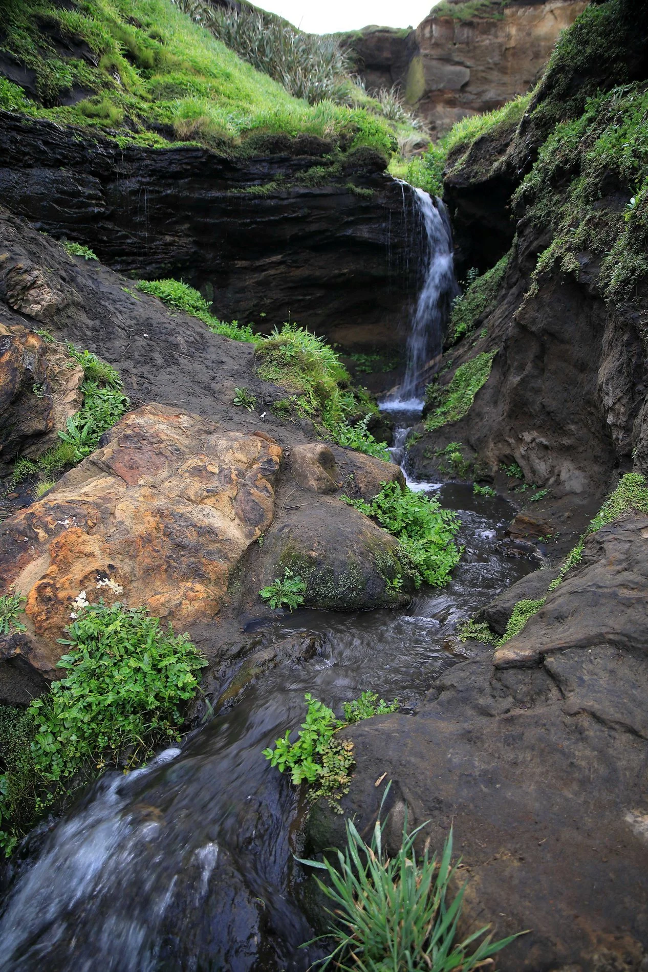 Karioitahi Beach,-889.JPG