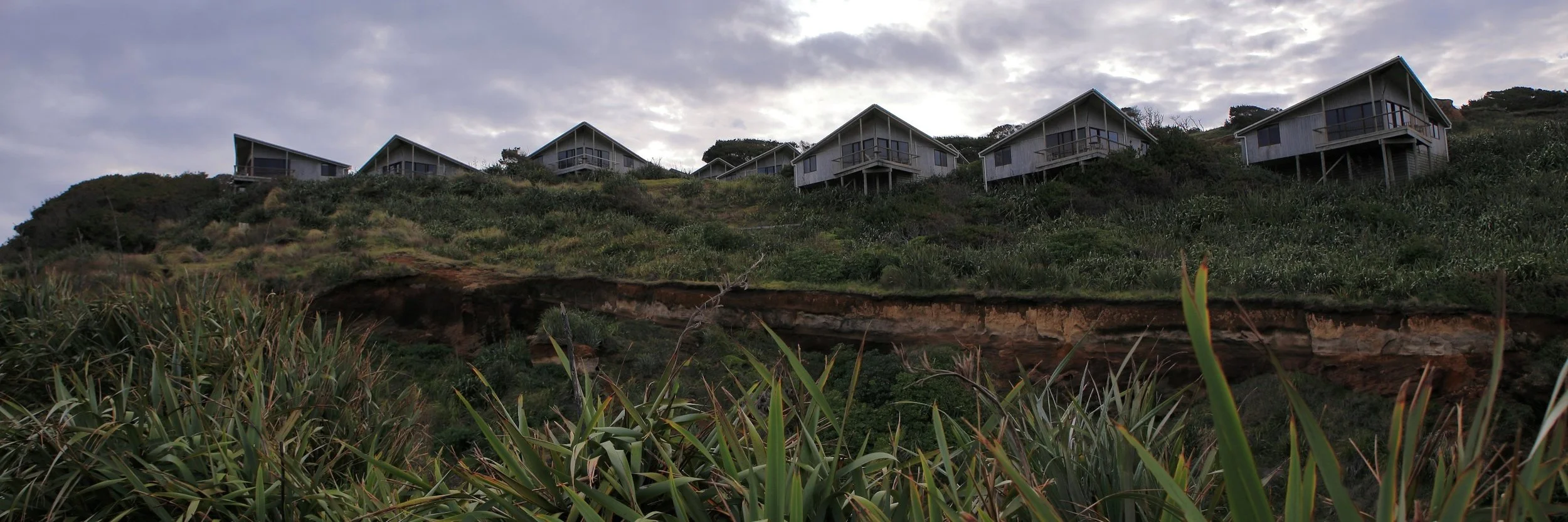 Karioitahi Beach,-903.JPG