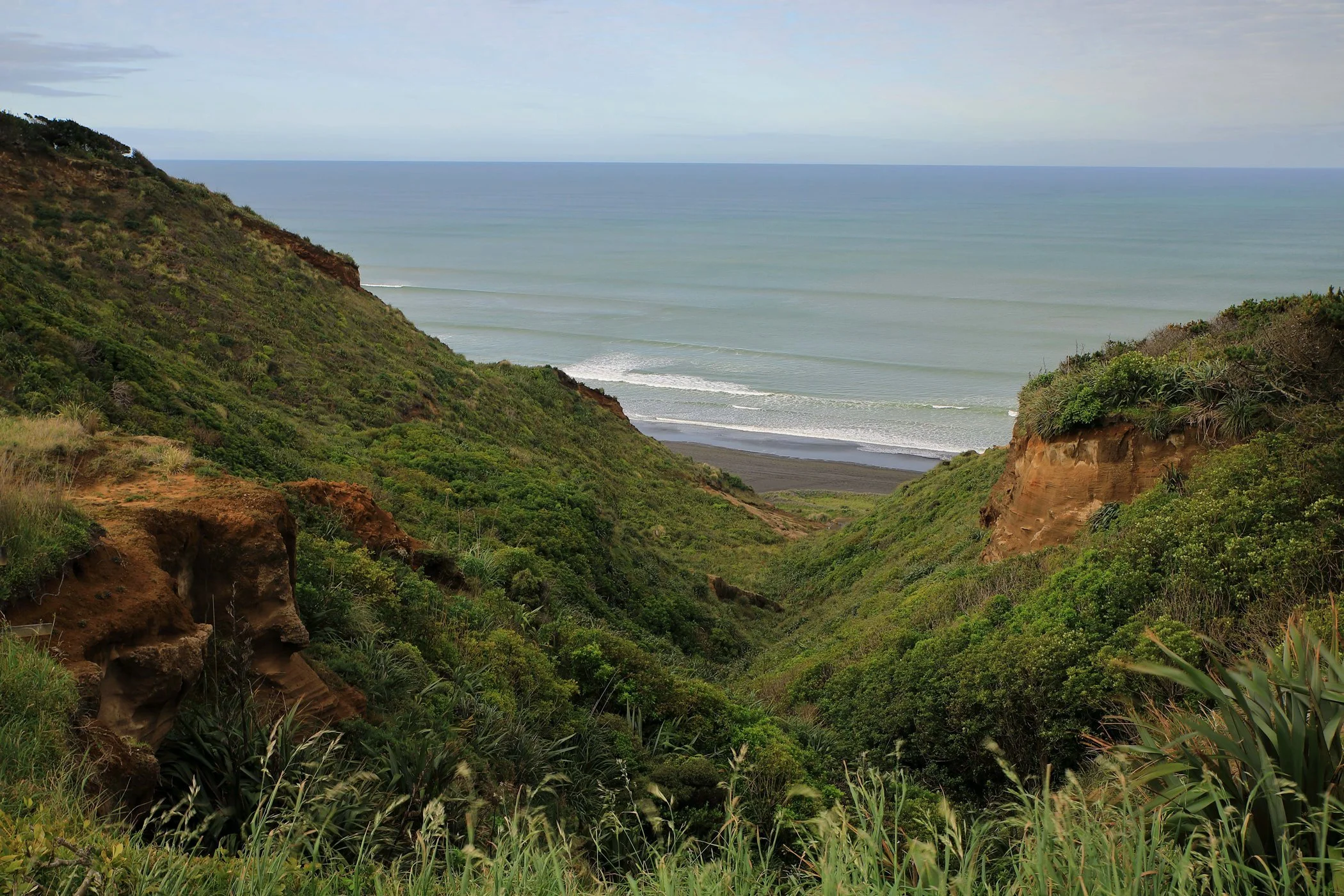 Karioitahi Beach,-911.JPG