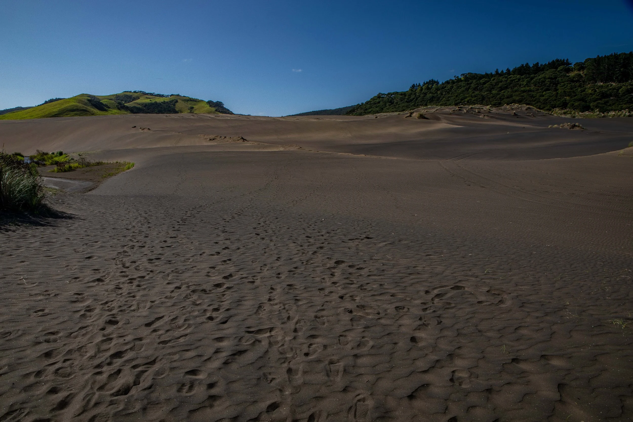 Lake Wainamu,Te Henga,-003.JPG