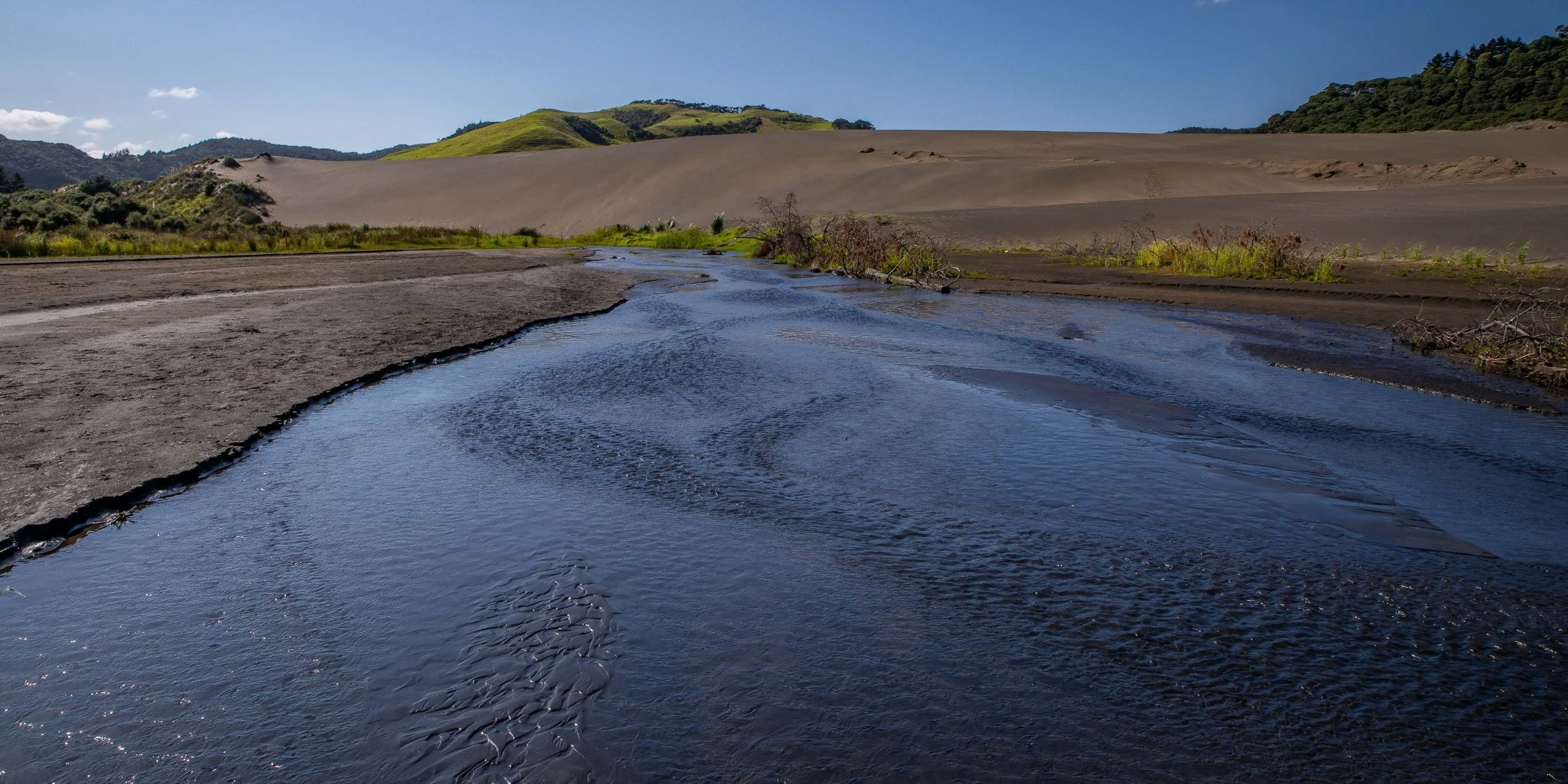 Lake Wainamu,Te Henga,-006.JPG