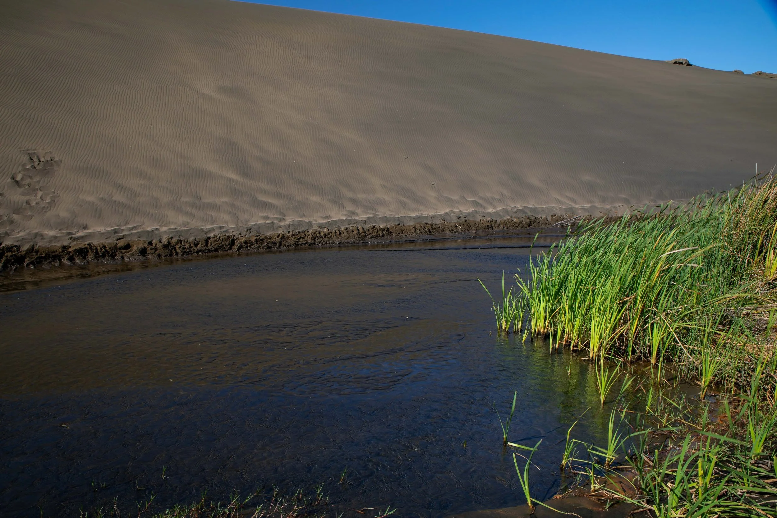 Lake Wainamu,Te Henga,-009.JPG