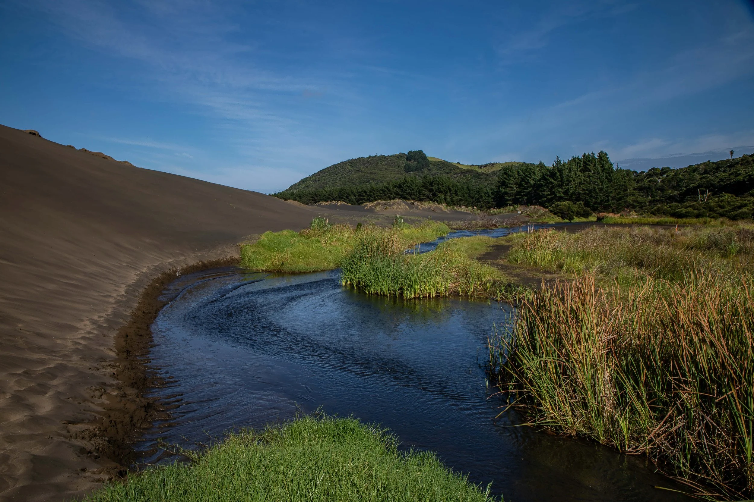 Lake Wainamu,Te Henga,-010.JPG