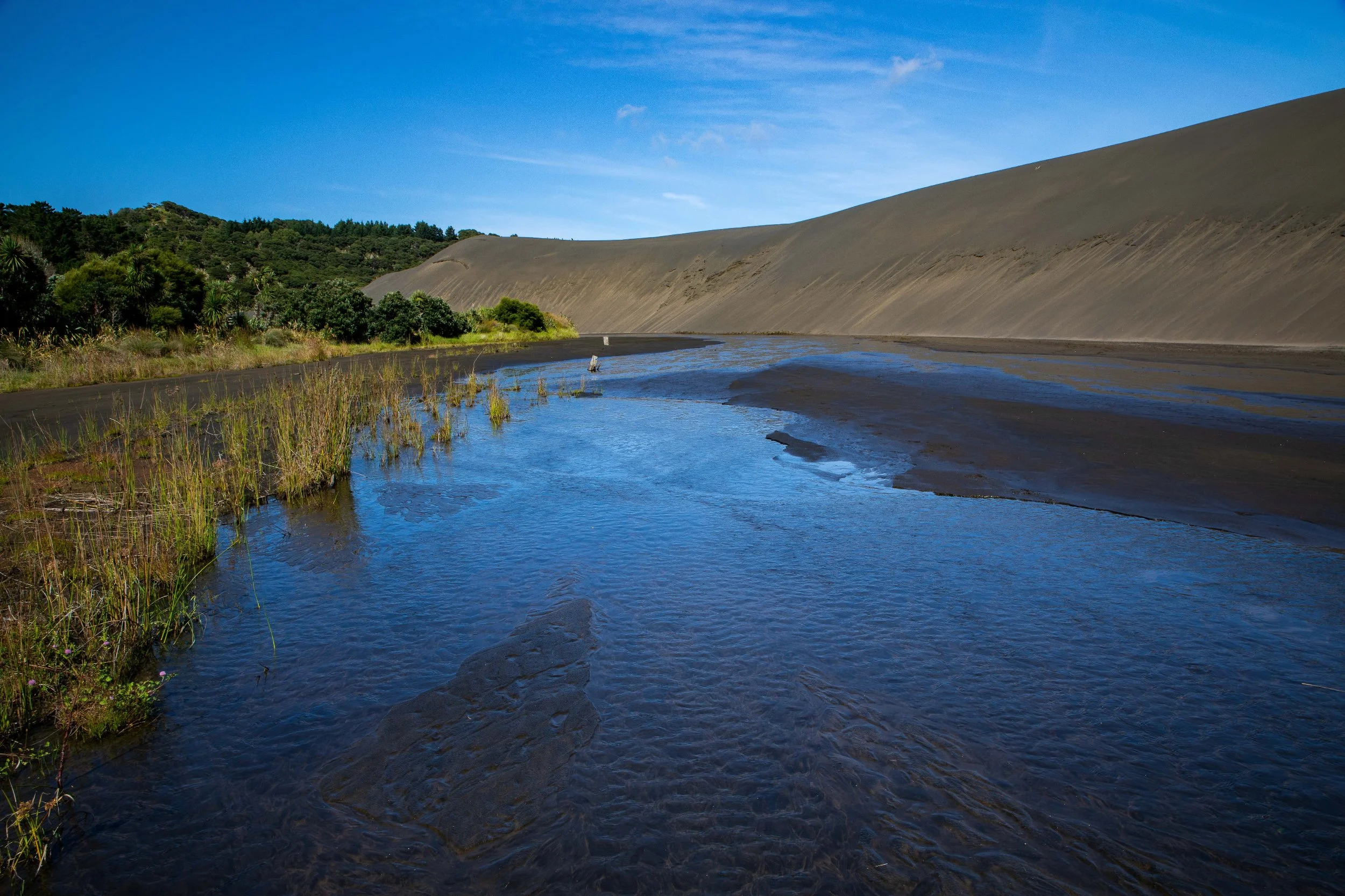 Lake Wainamu,Te Henga,-023.JPG