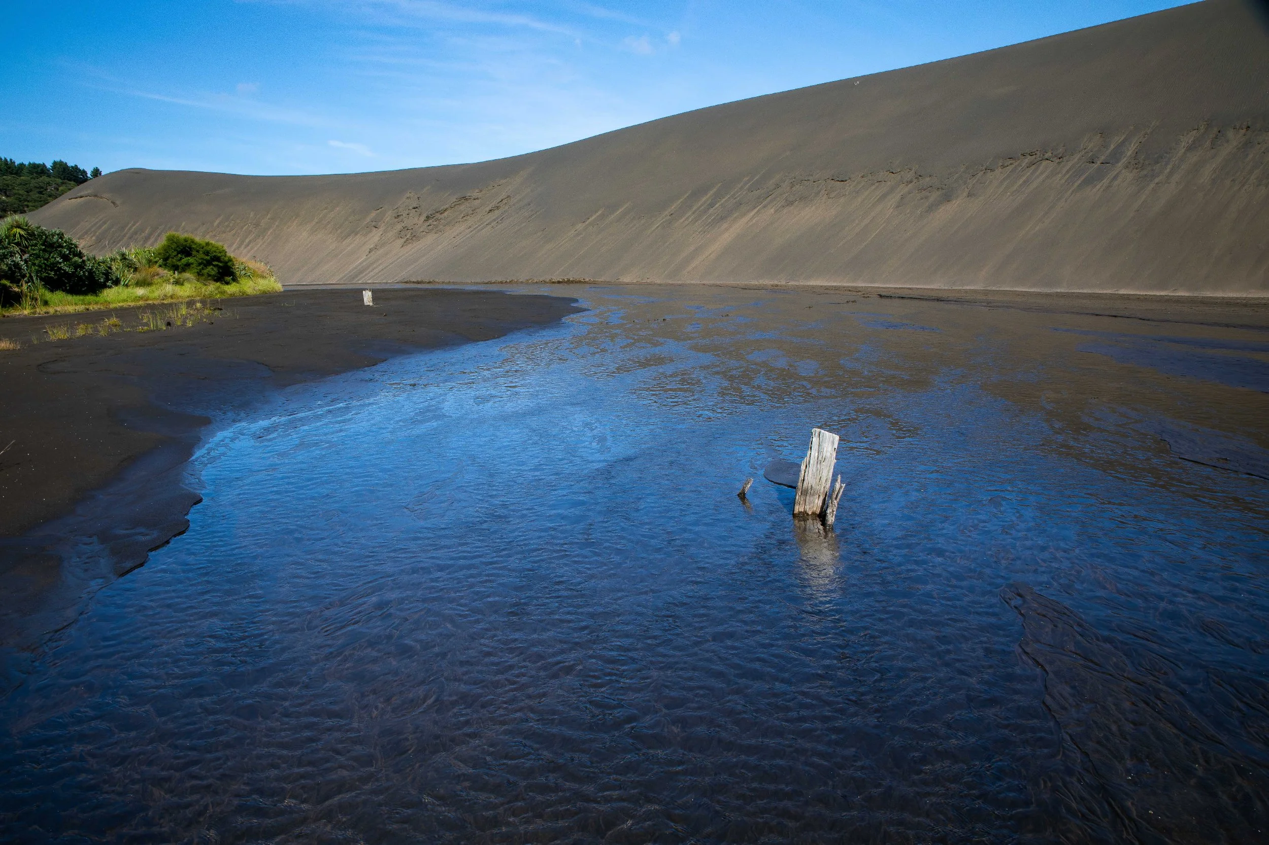 Lake Wainamu,Te Henga,-025.JPG
