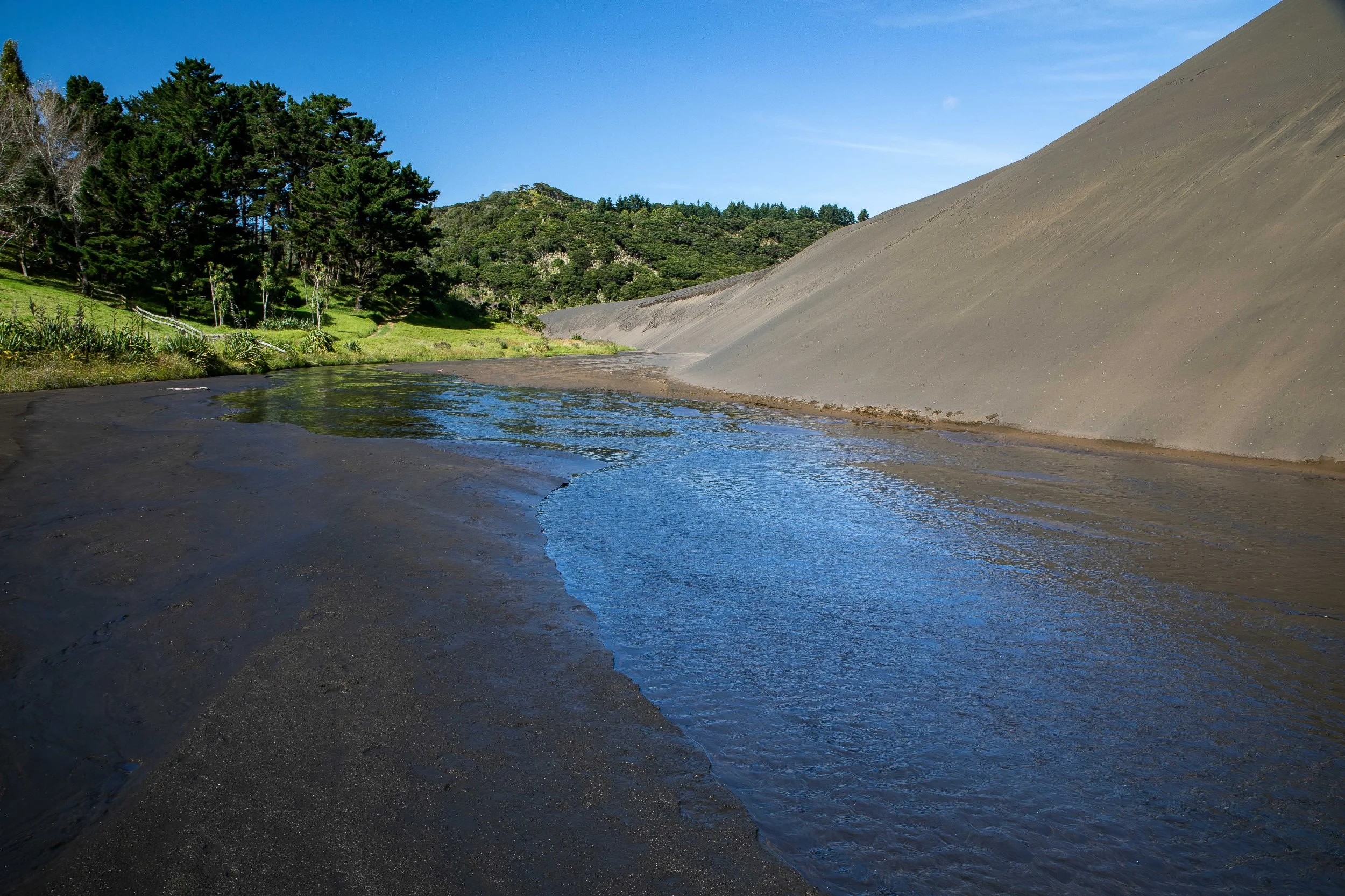 Lake Wainamu,Te Henga,-028.JPG