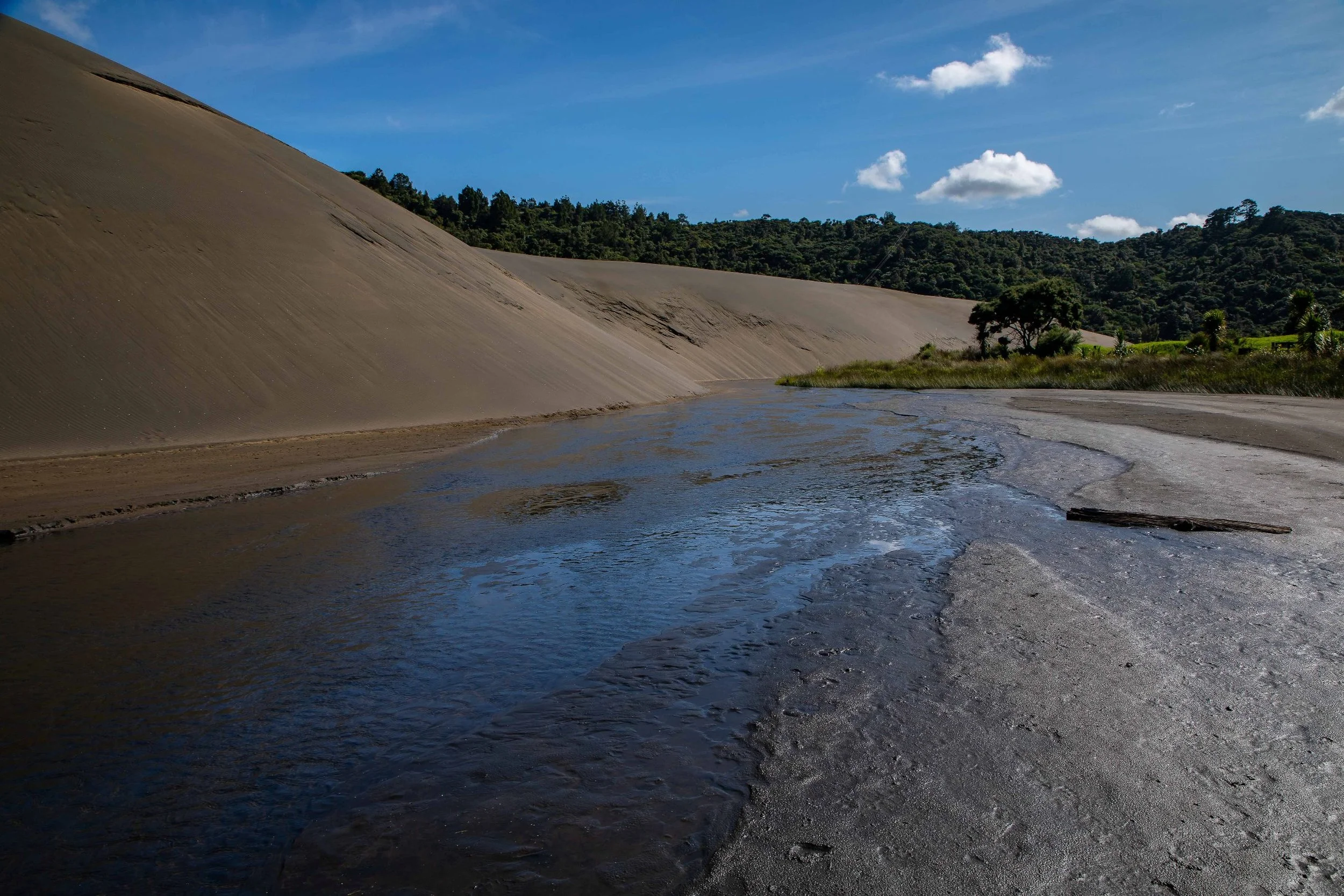 Lake Wainamu,Te Henga,-029.JPG