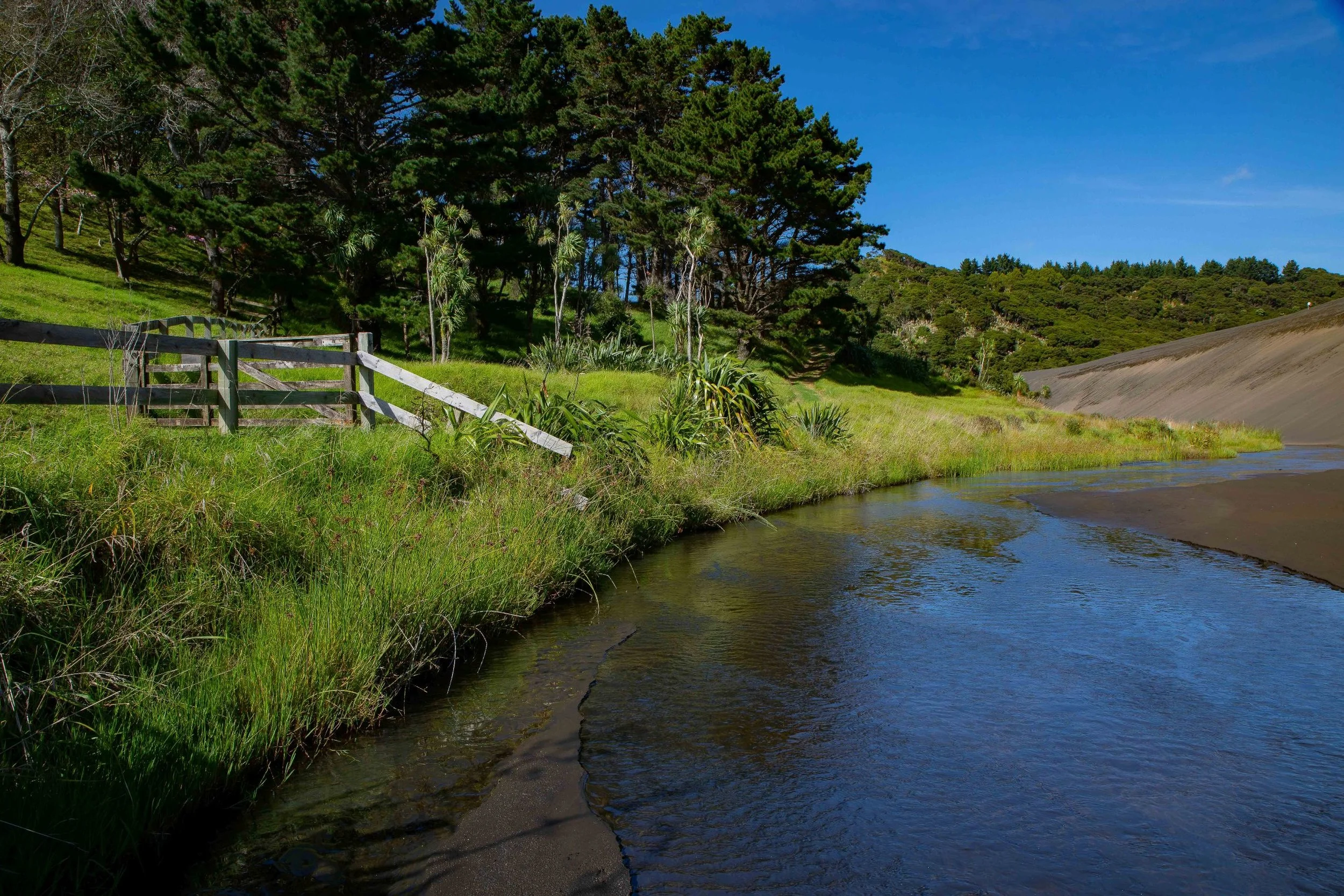 Lake Wainamu,Te Henga,-031.JPG