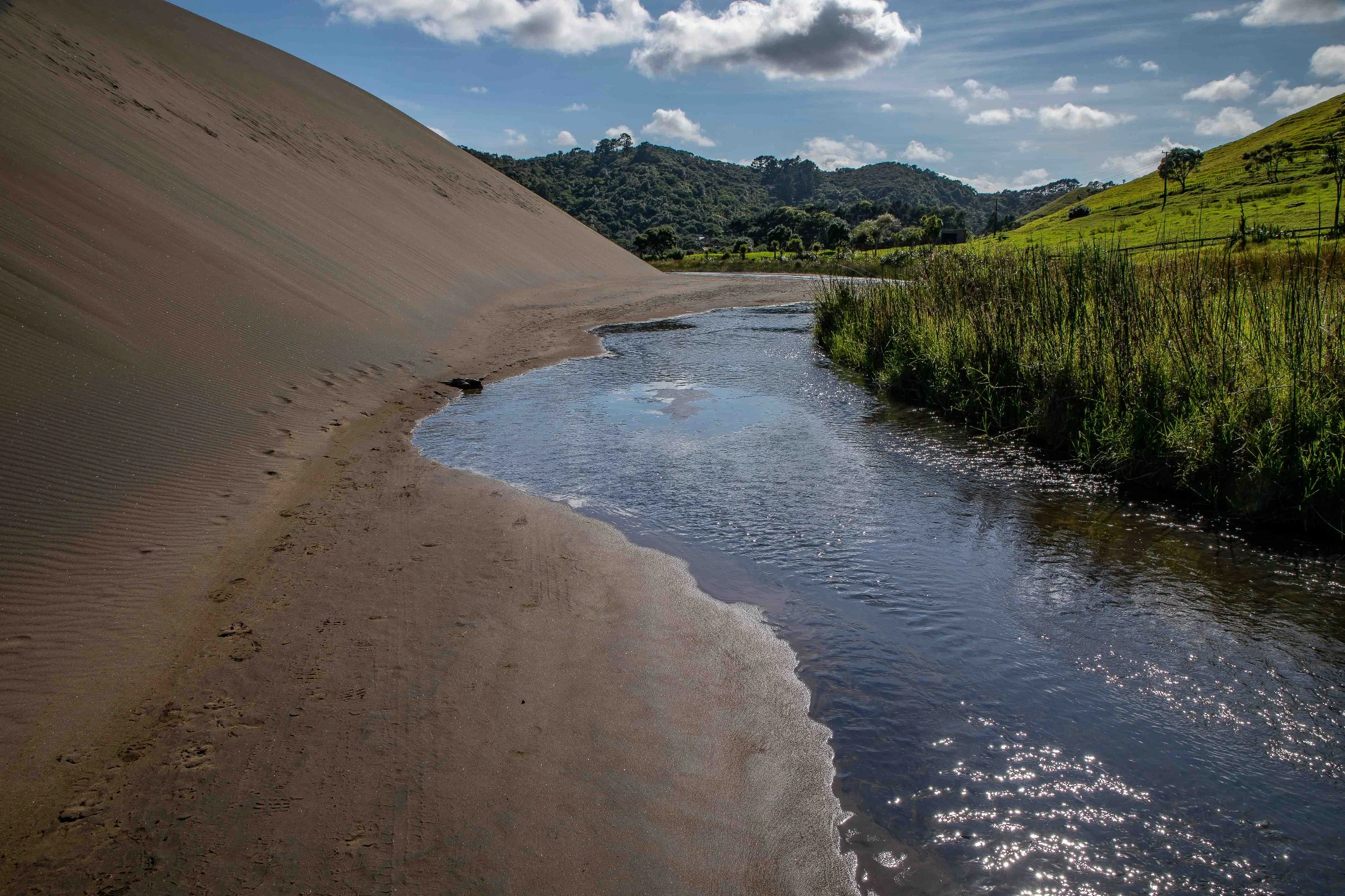 Lake Wainamu,Te Henga,-035.JPG