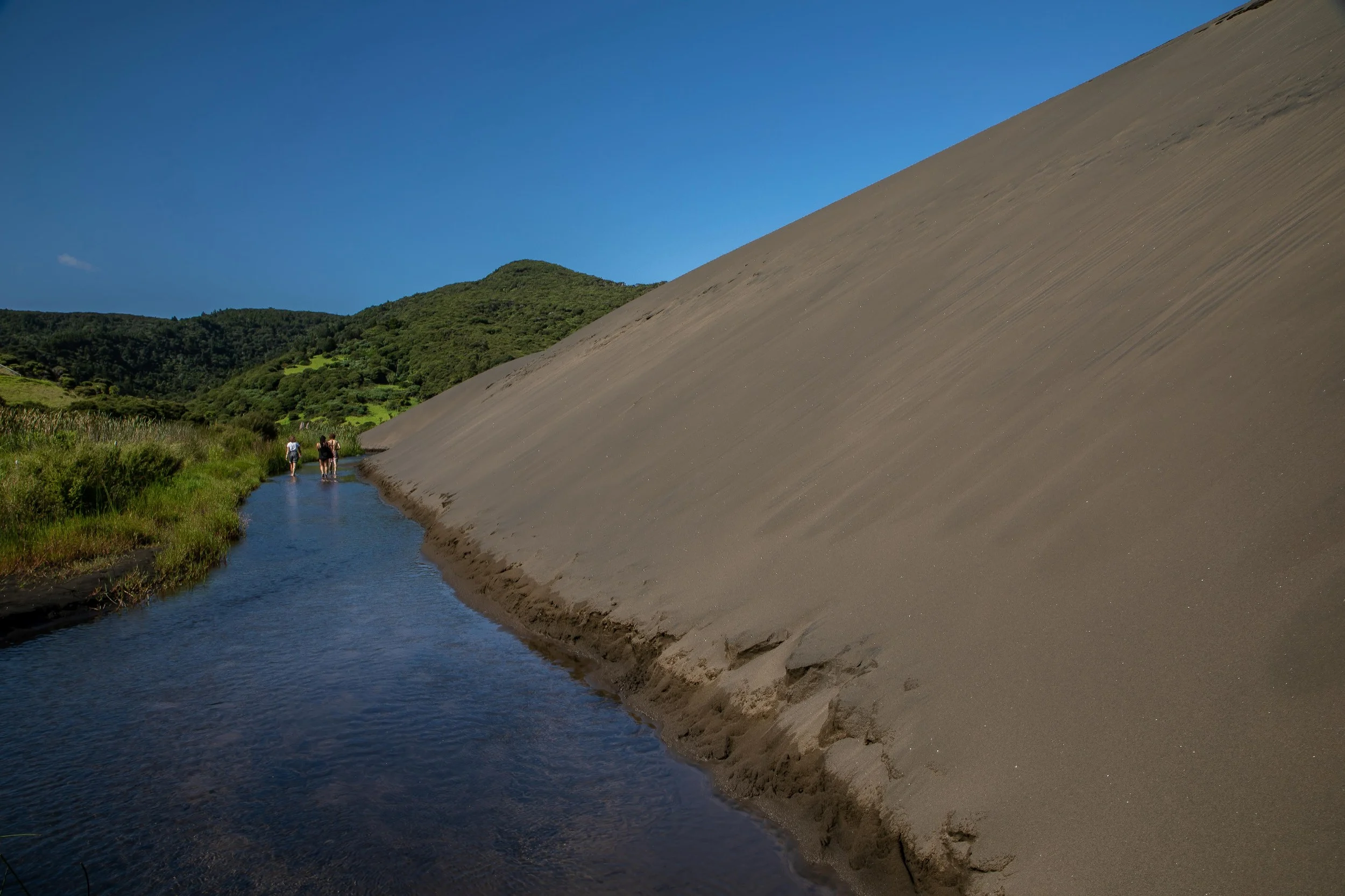 Lake Wainamu,Te Henga,-040.JPG
