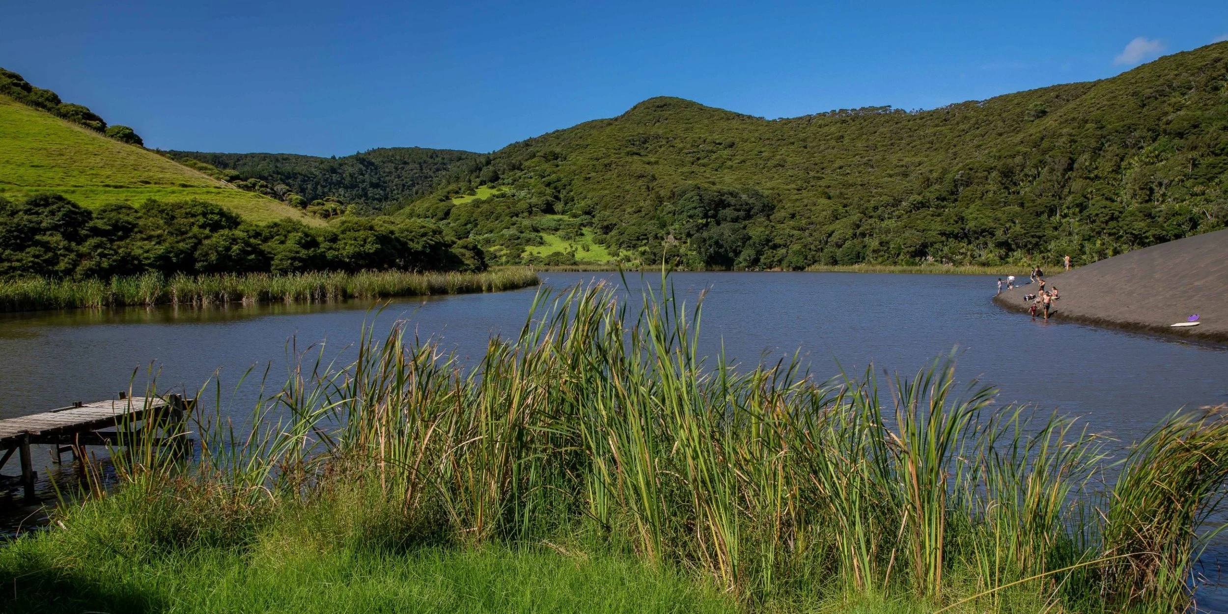 Lake Wainamu,Te Henga,-041.JPG