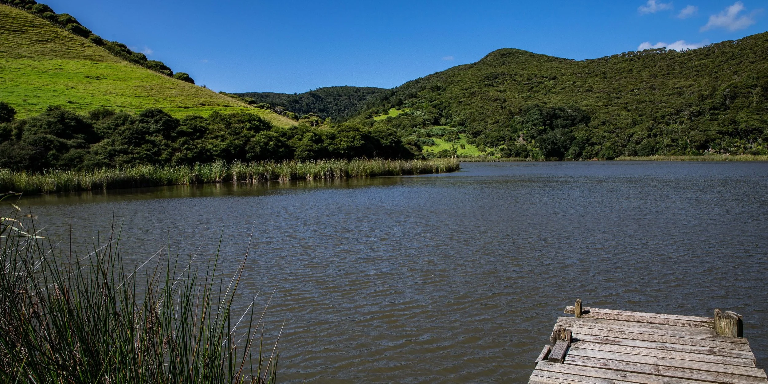 Lake Wainamu,Te Henga,-044.JPG