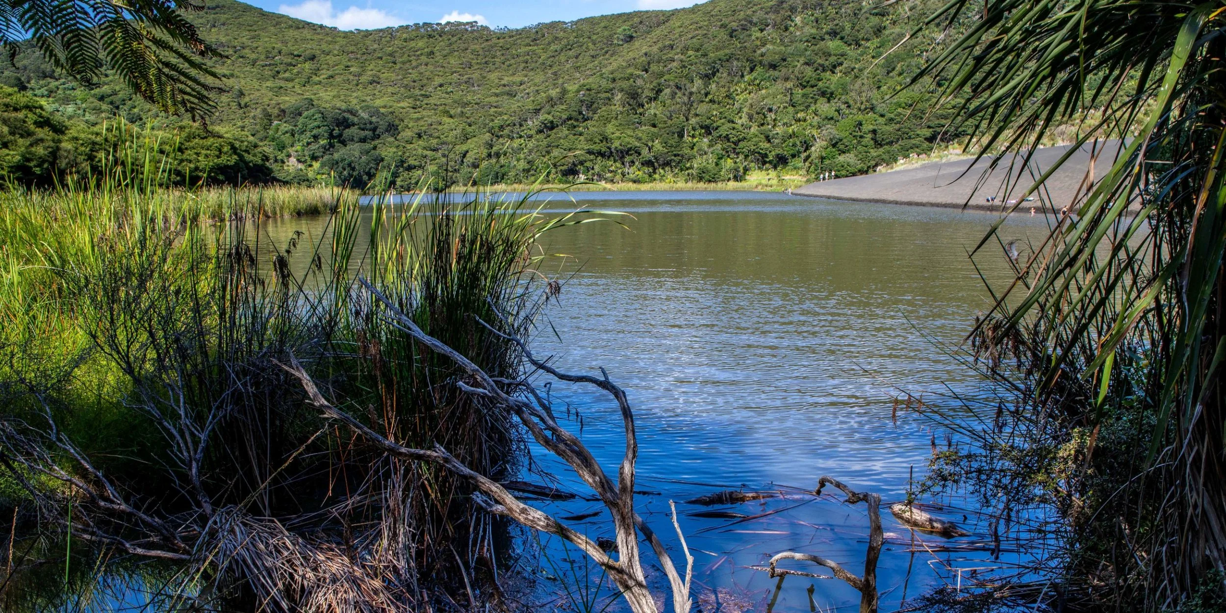 Lake Wainamu,Te Henga,-045.JPG