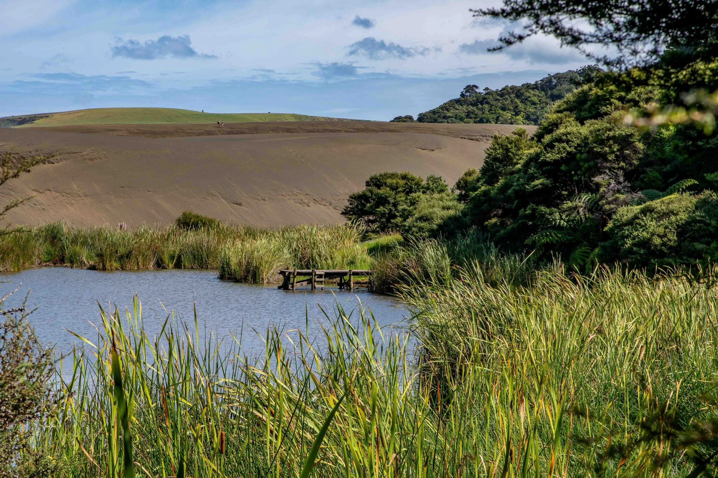 Lake Wainamu,Te Henga,-046.JPG