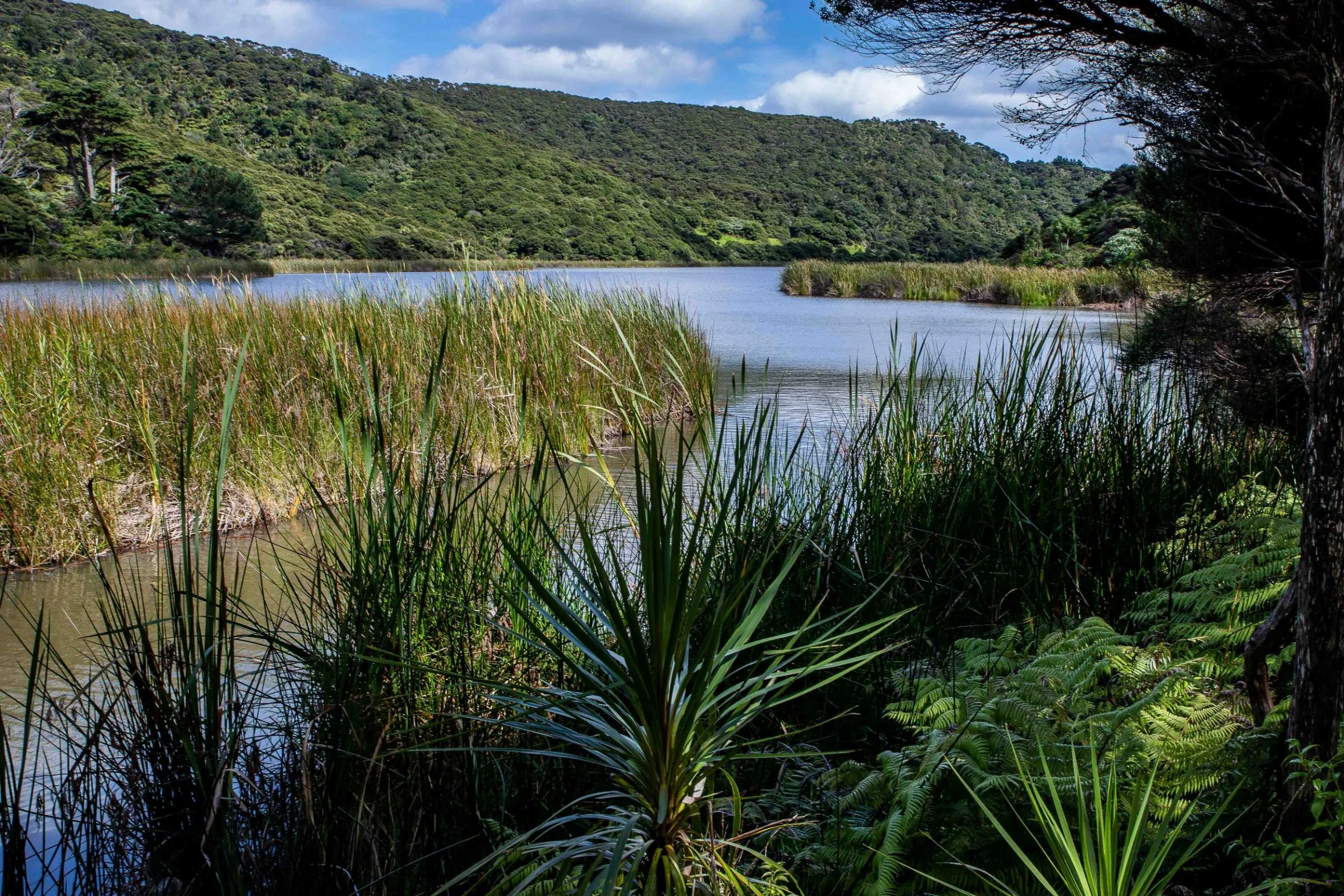 Lake Wainamu,Te Henga,-049.JPG