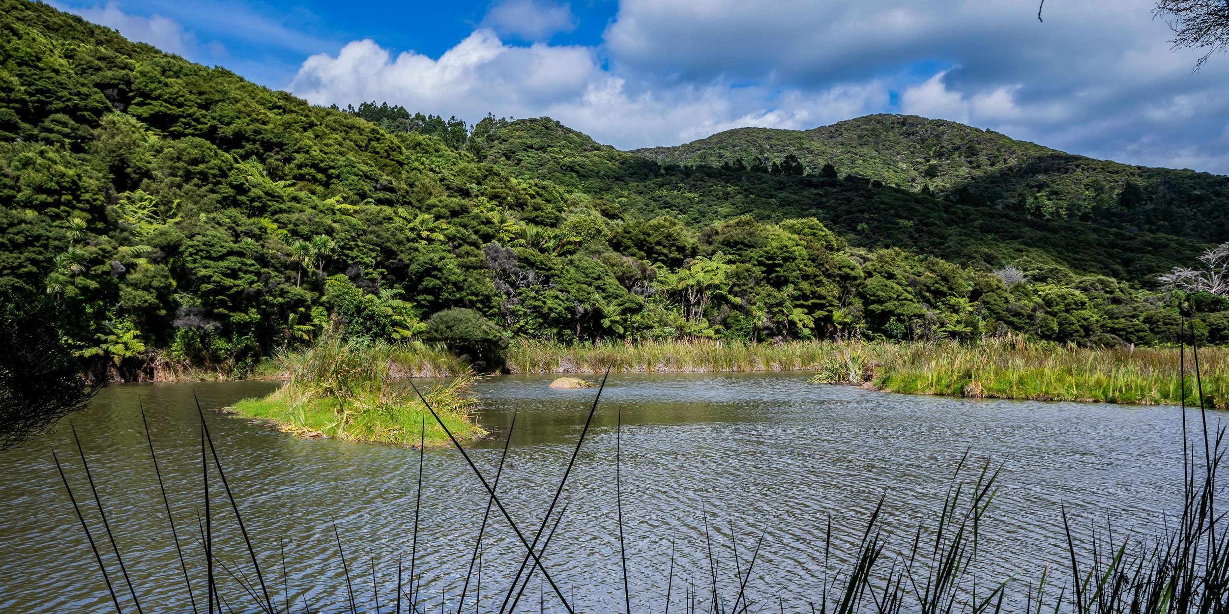 Lake Wainamu,Te Henga,-052.JPG