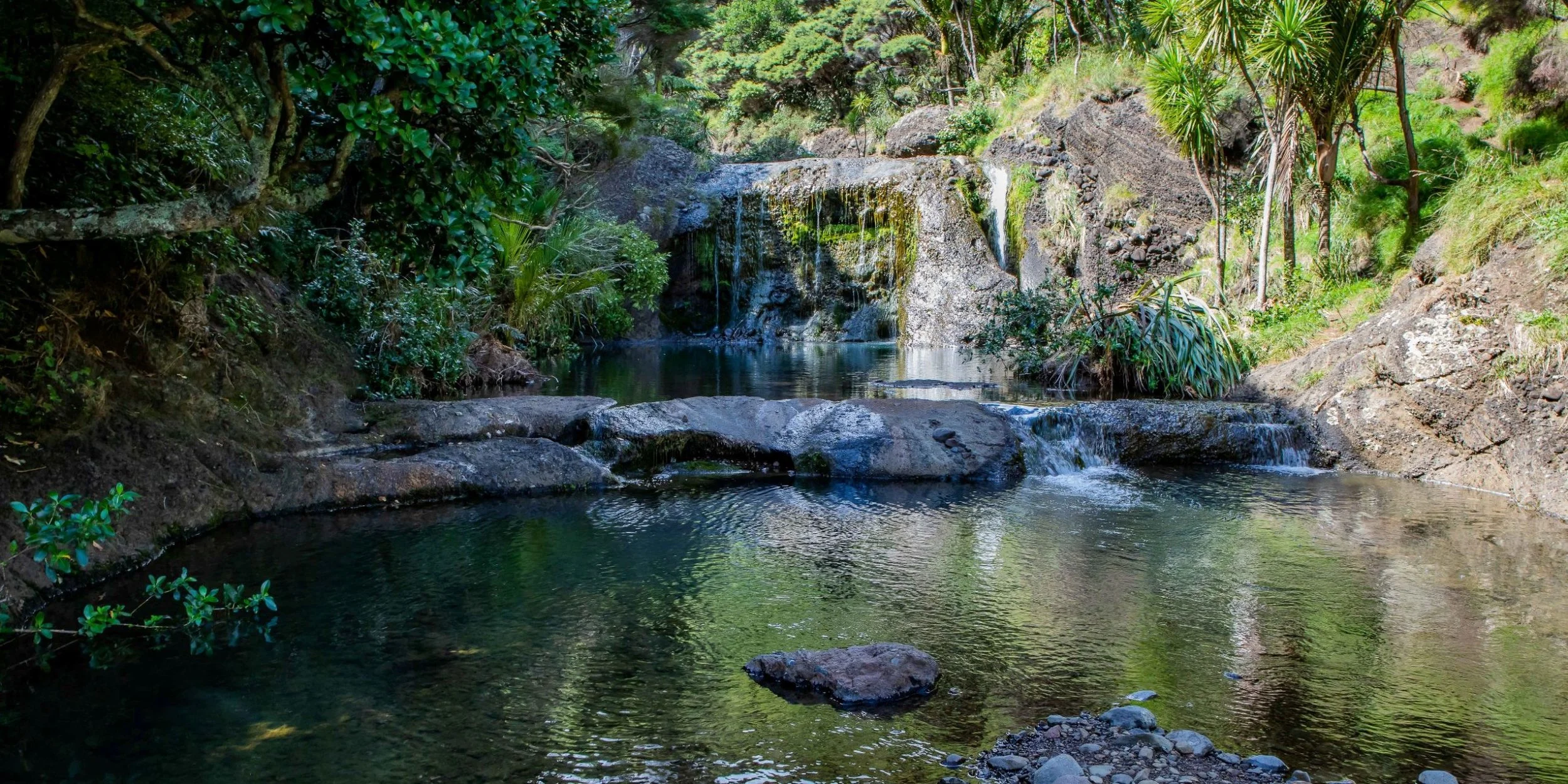 Lake Wainamu,Te Henga,-053.JPG