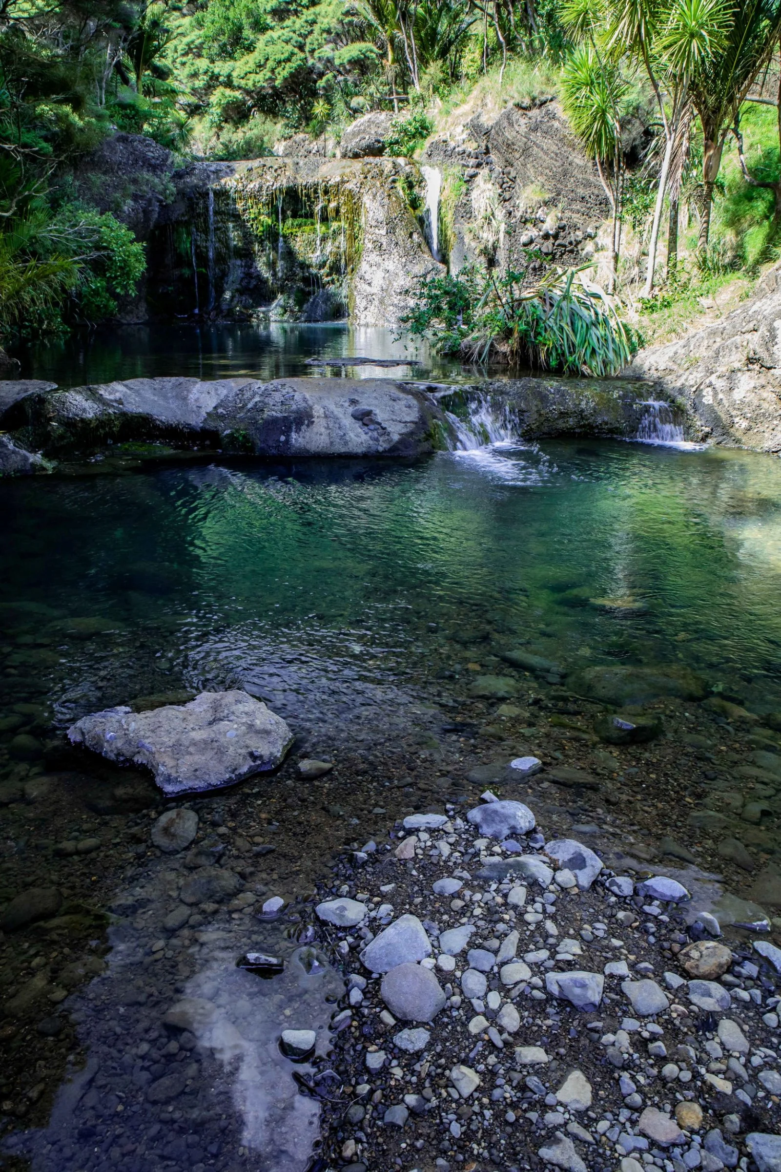 Lake Wainamu,Te Henga,-057.JPG
