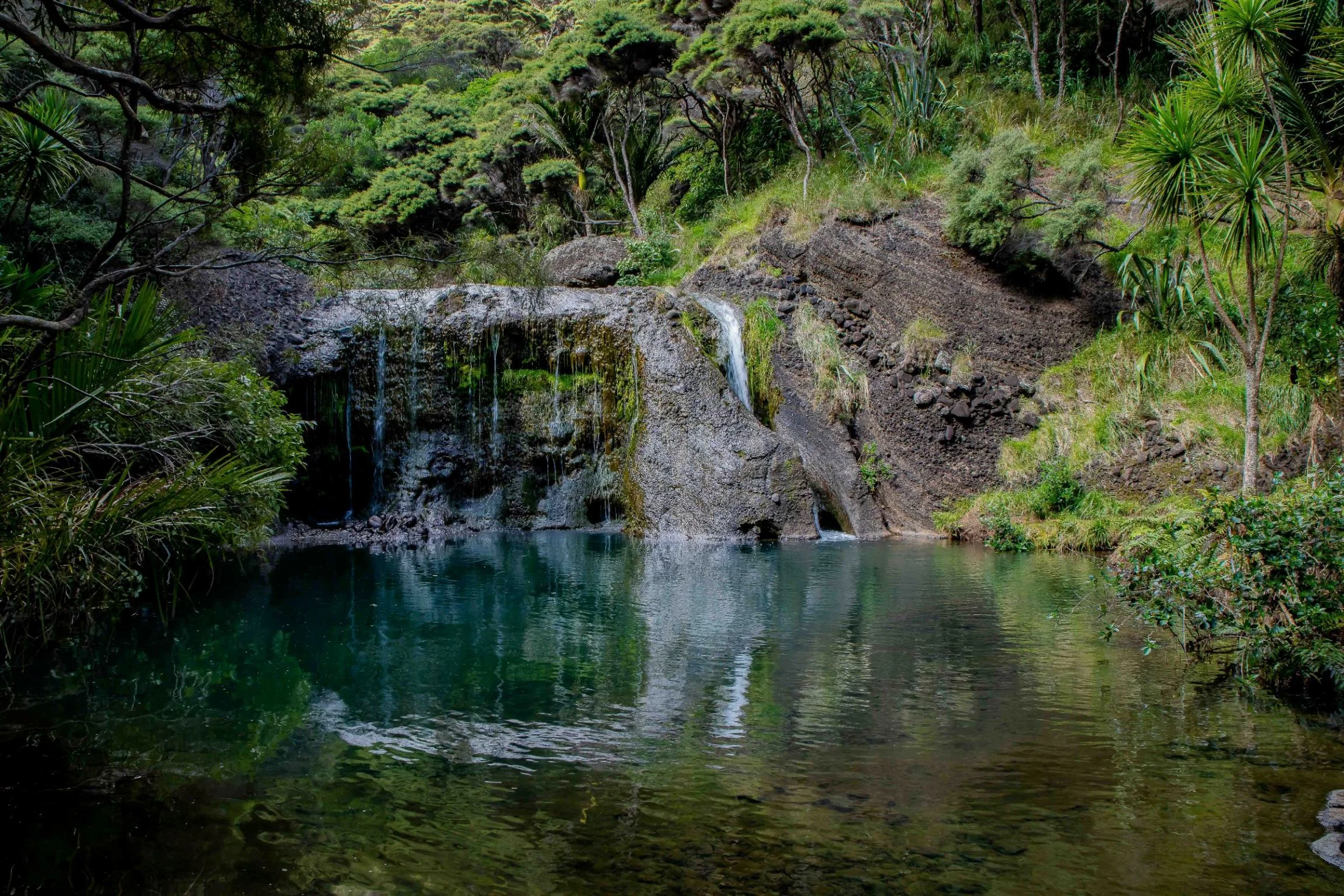 Lake Wainamu,Te Henga,-067.JPG