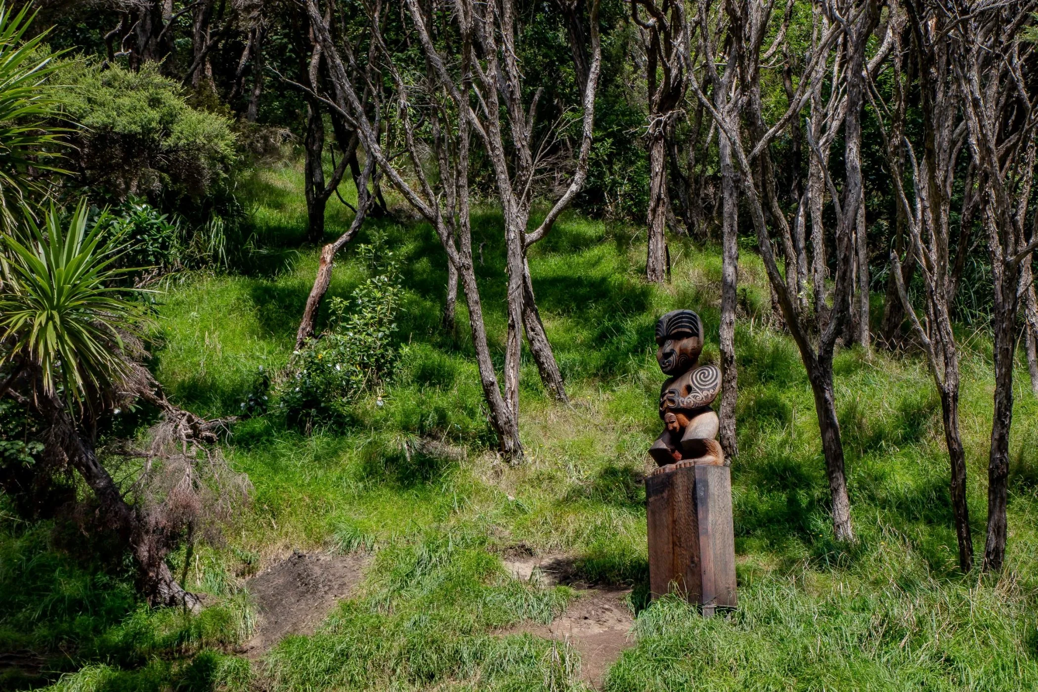 Lake Wainamu,Te Henga,-072.JPG