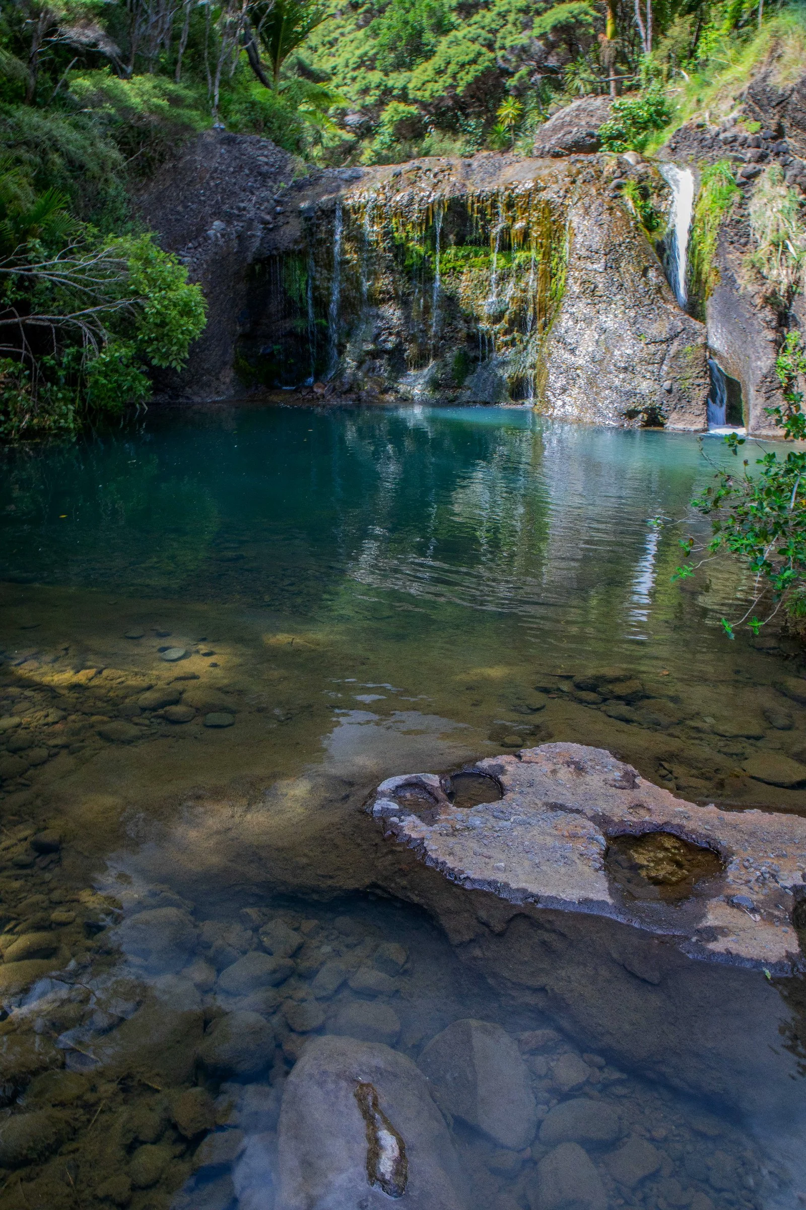 Lake Wainamu,Te Henga,-073.JPG