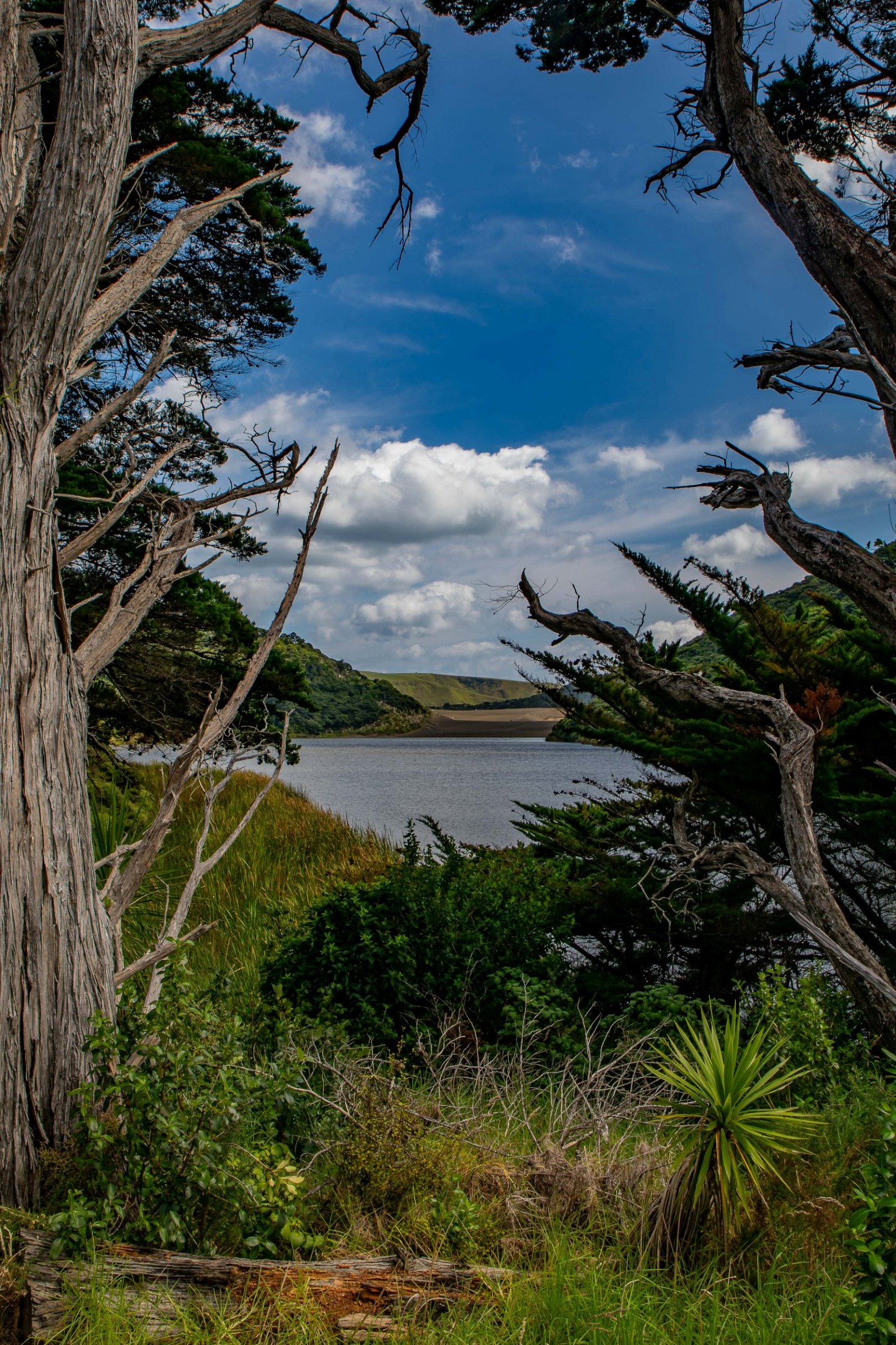 Lake Wainamu,Te Henga,-078.JPG