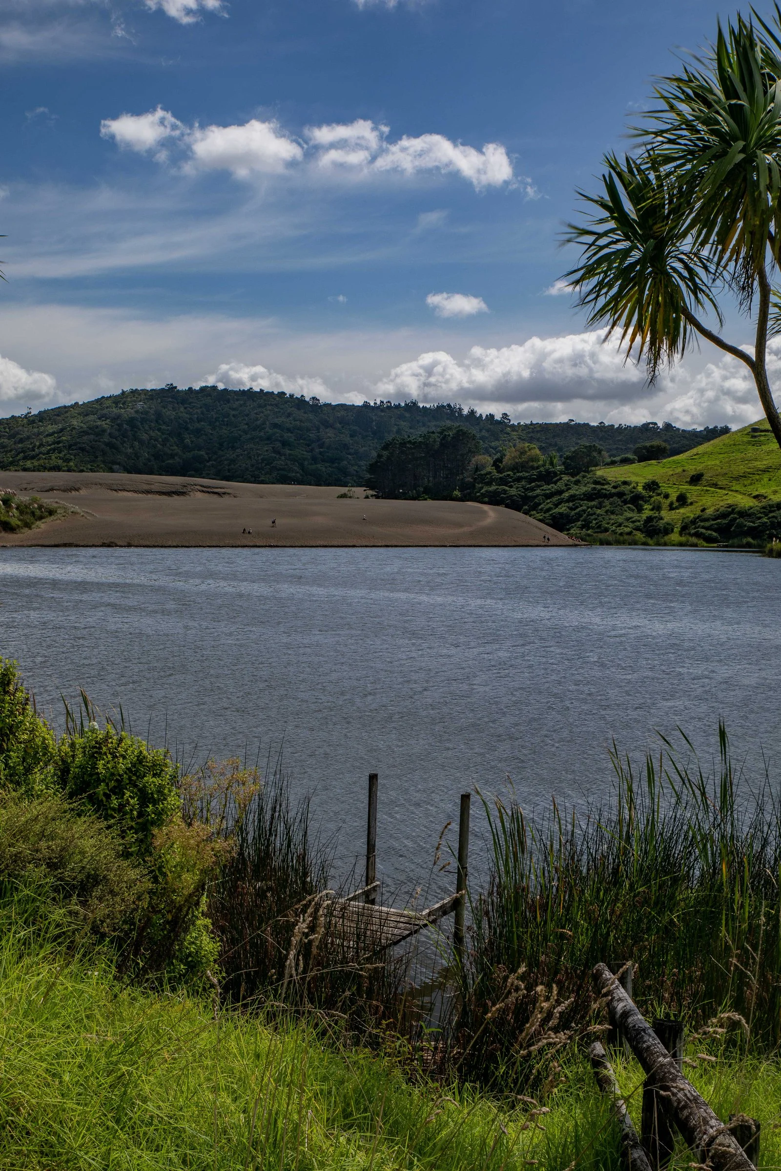 Lake Wainamu,Te Henga,-088.JPG