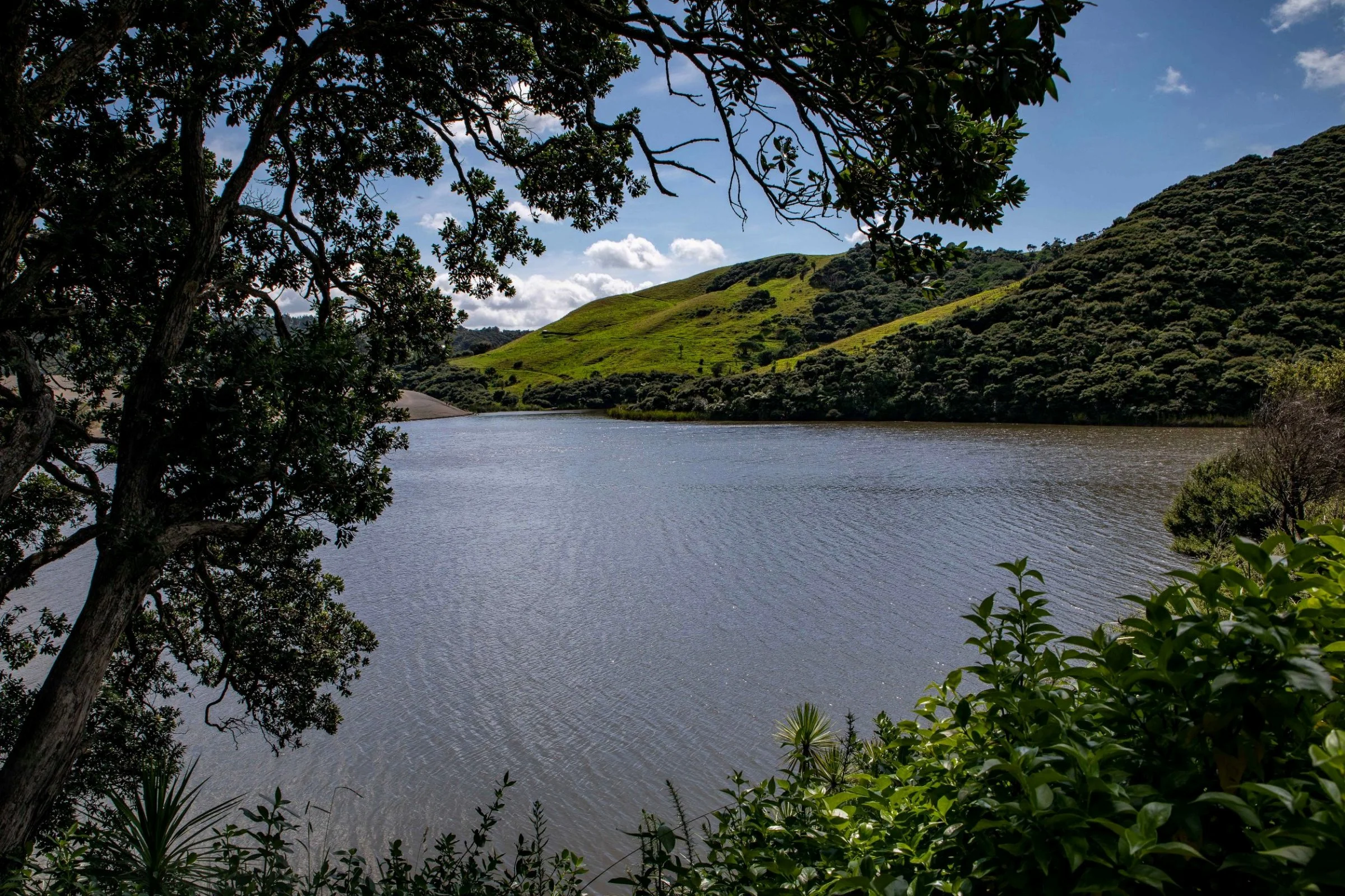 Lake Wainamu,Te Henga,-089.JPG