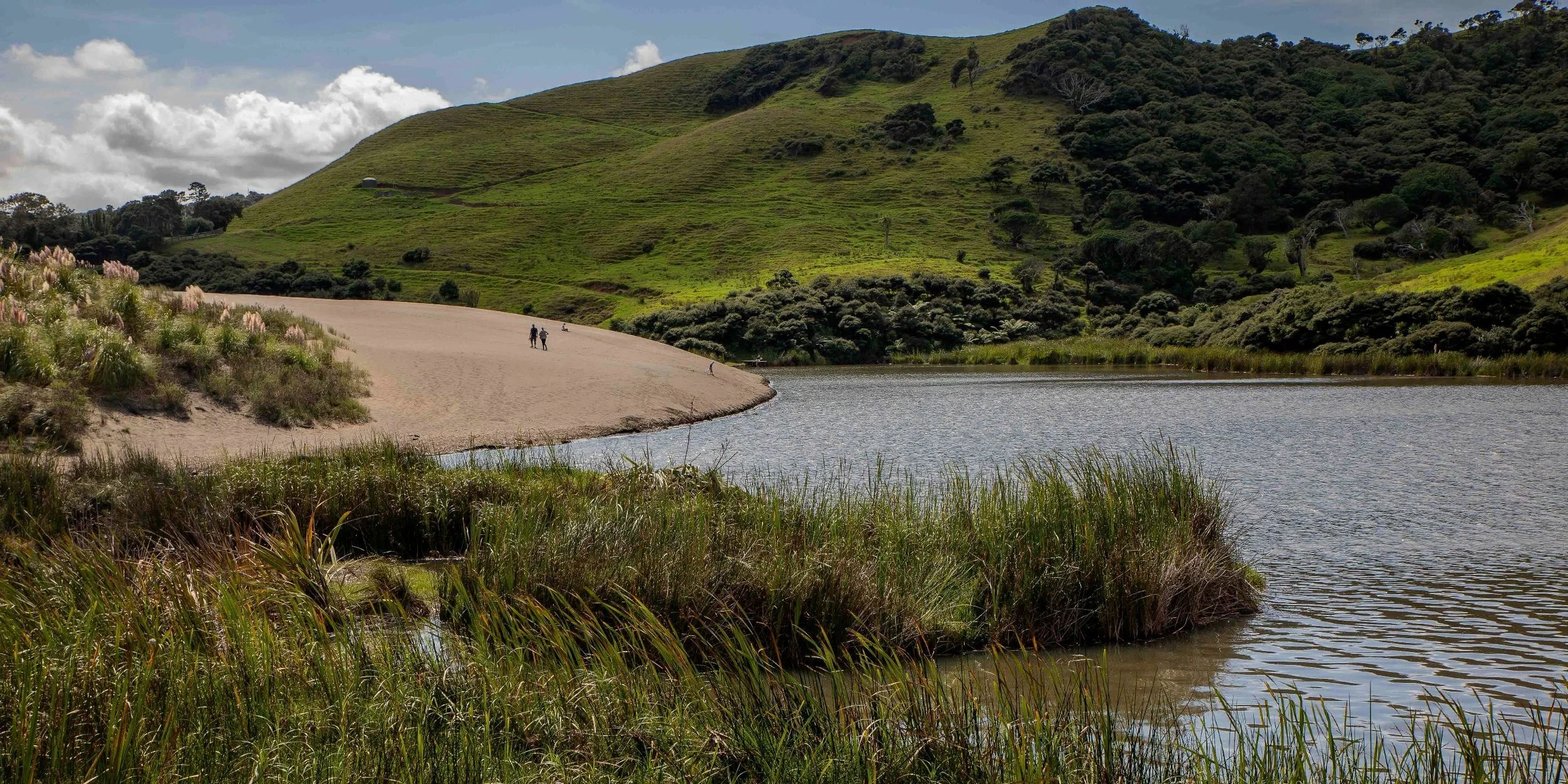 Lake Wainamu,Te Henga,-093.JPG